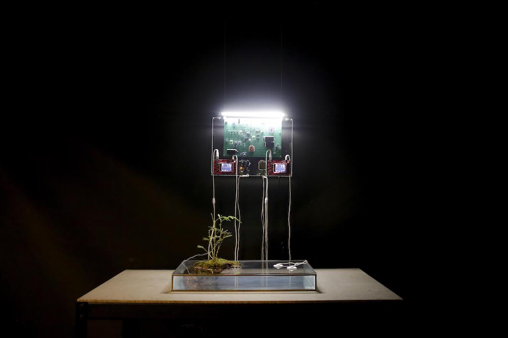 Group Exhibition - Syn-thesasia - MANA LIFE GEEK, Shanghai, 2018