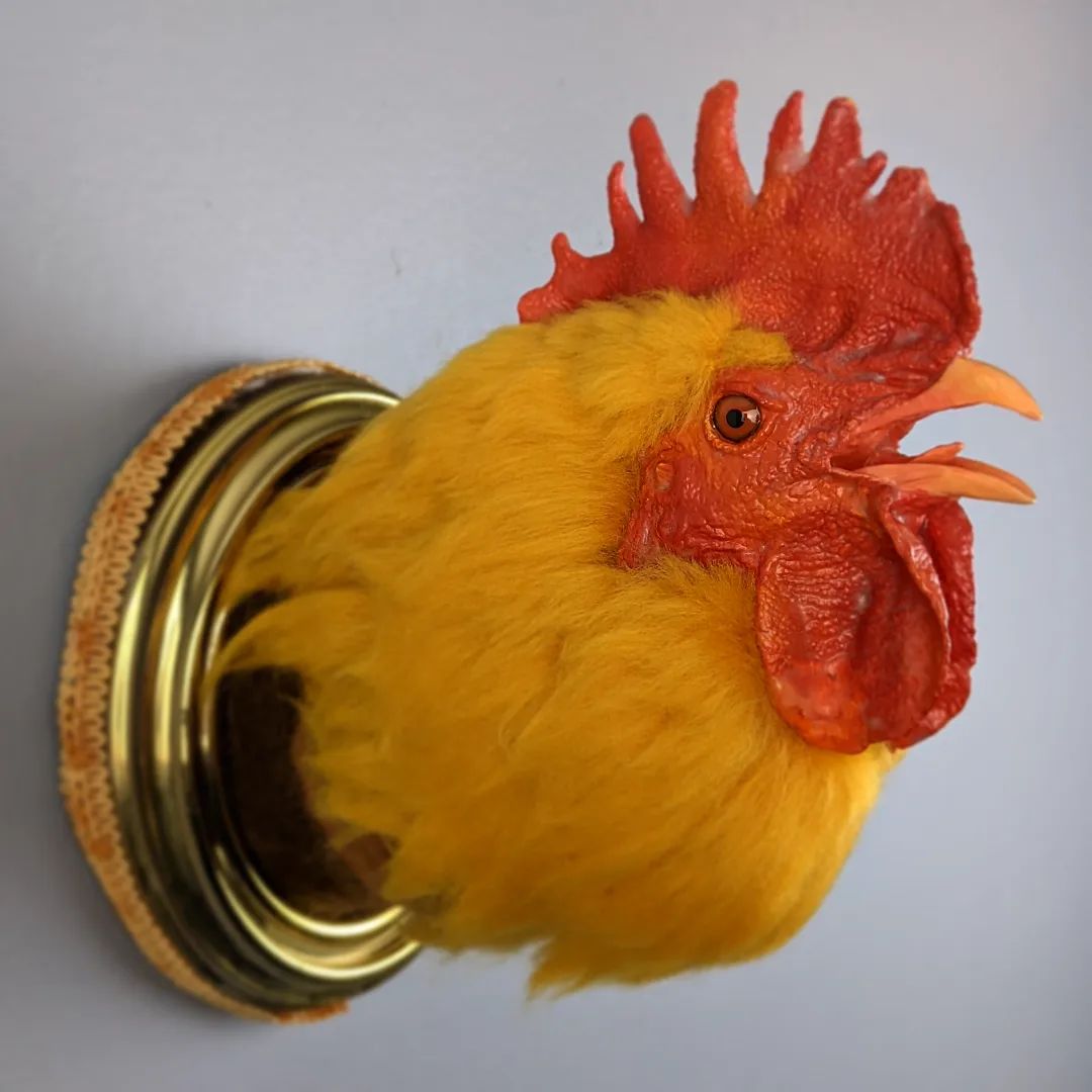 Golden RoosterNeedle felted wool faux taxidermy2023"SOLD