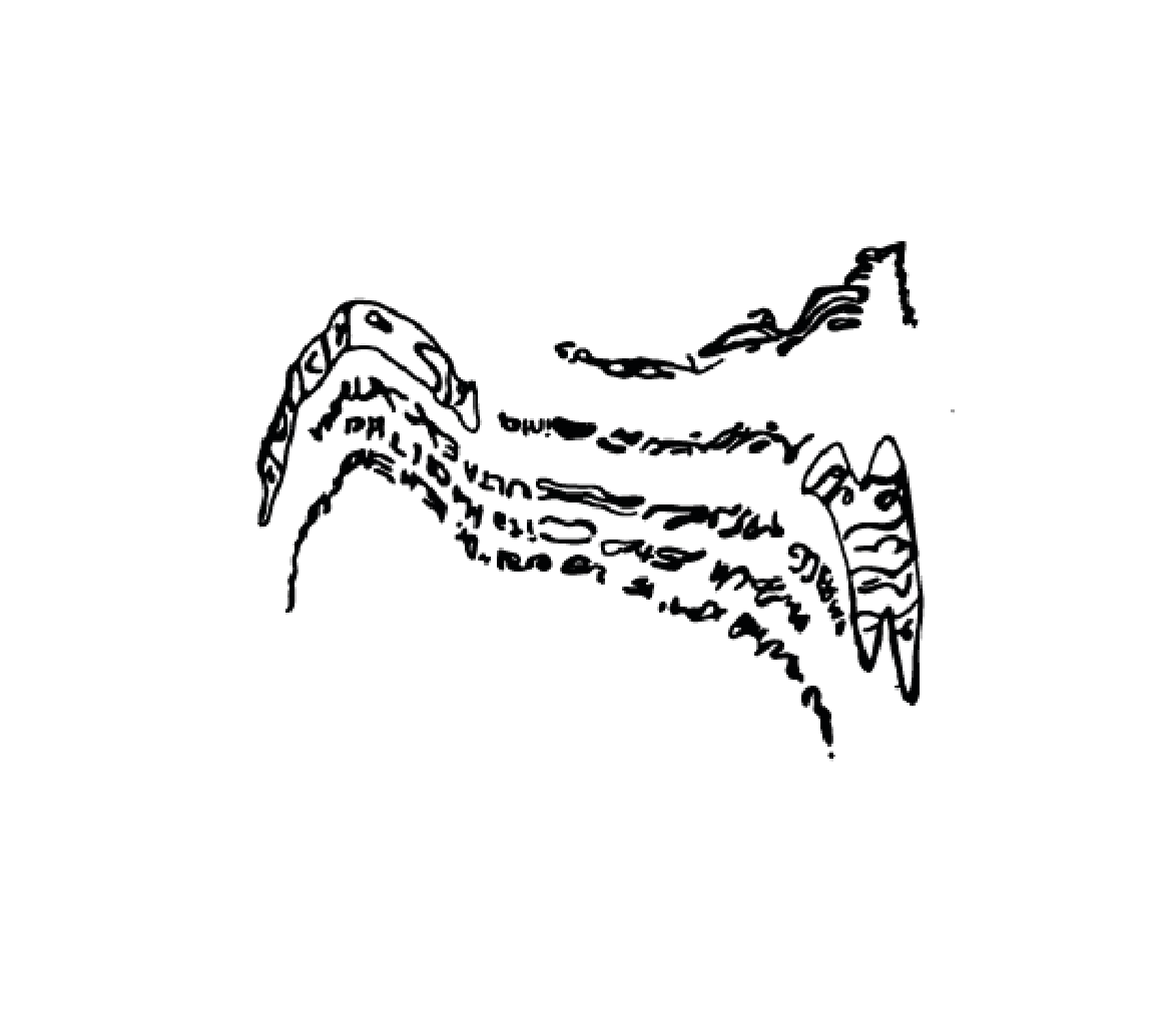 (10)