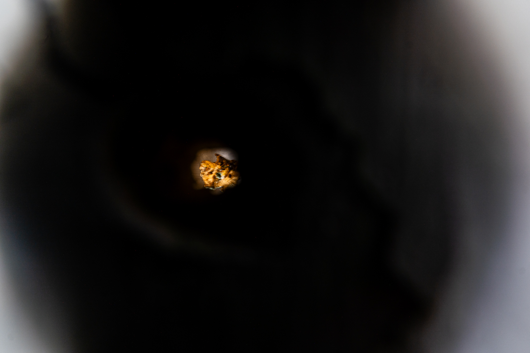 Bild 1 zu Fungillation: Blick durch ein kleines Loch, l&auml;sst Umrisse eines hellbraunen Pilzes erkennen.