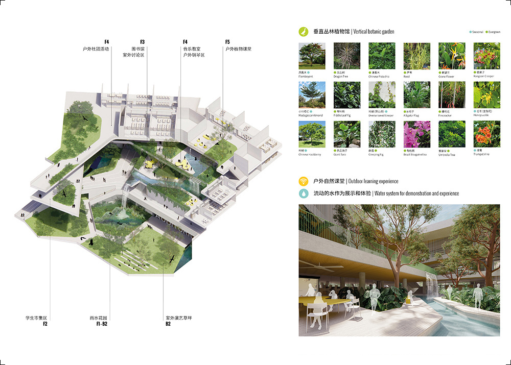 The Jungle: planting strategy and water system