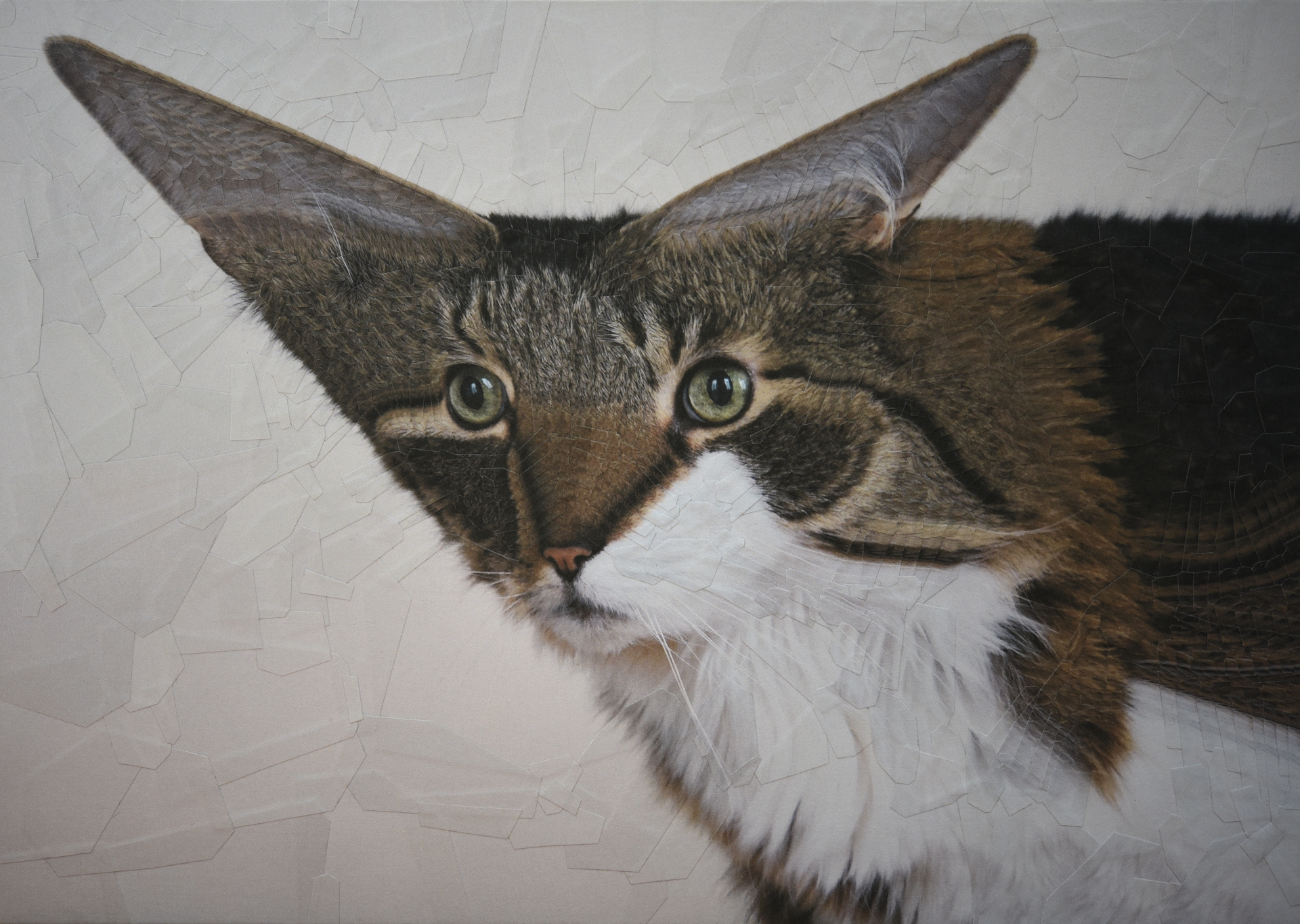 Mia, 2021, 11.6 x 8.2 inches