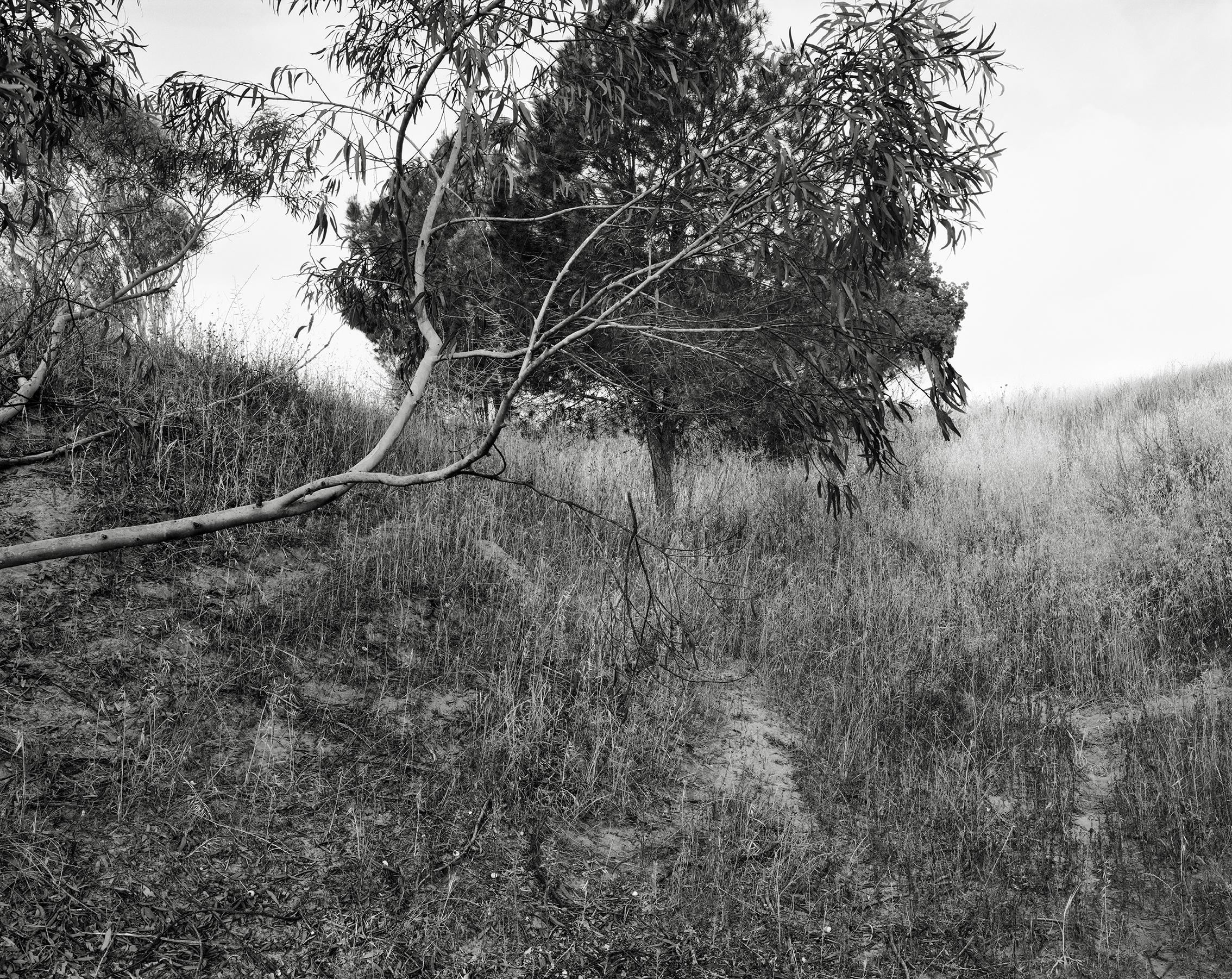 Hideout, 2023-24, Inkjet print, 68.5x80 cm