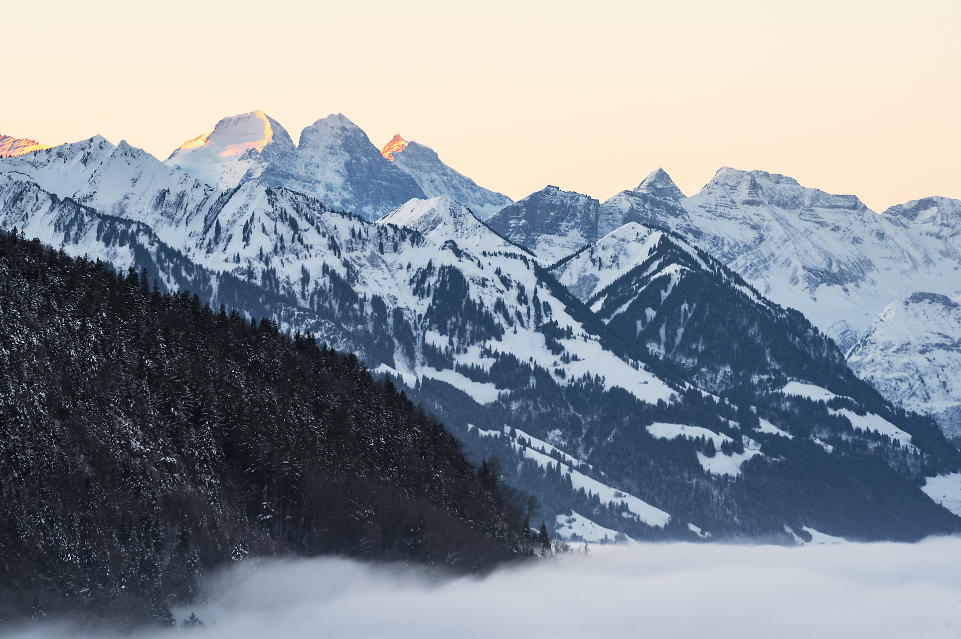 Destination guide, Citizen Femme