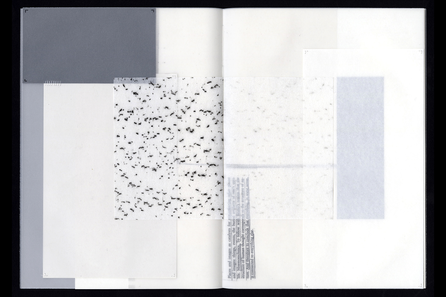 Processes of (un)becoming