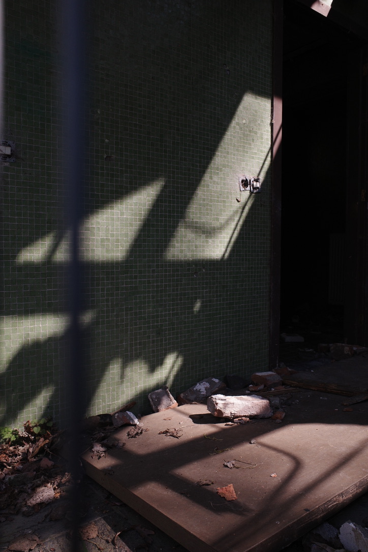 BROKEN NATURE | Digital photo | 4000x6000px