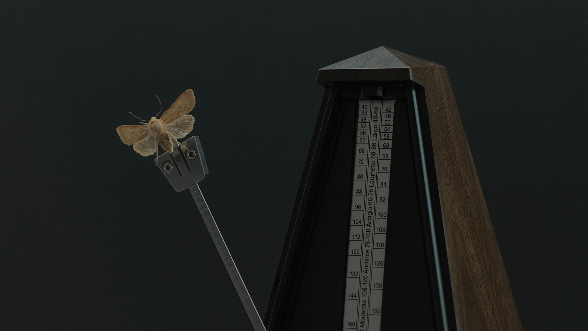 It's not even past / 2023