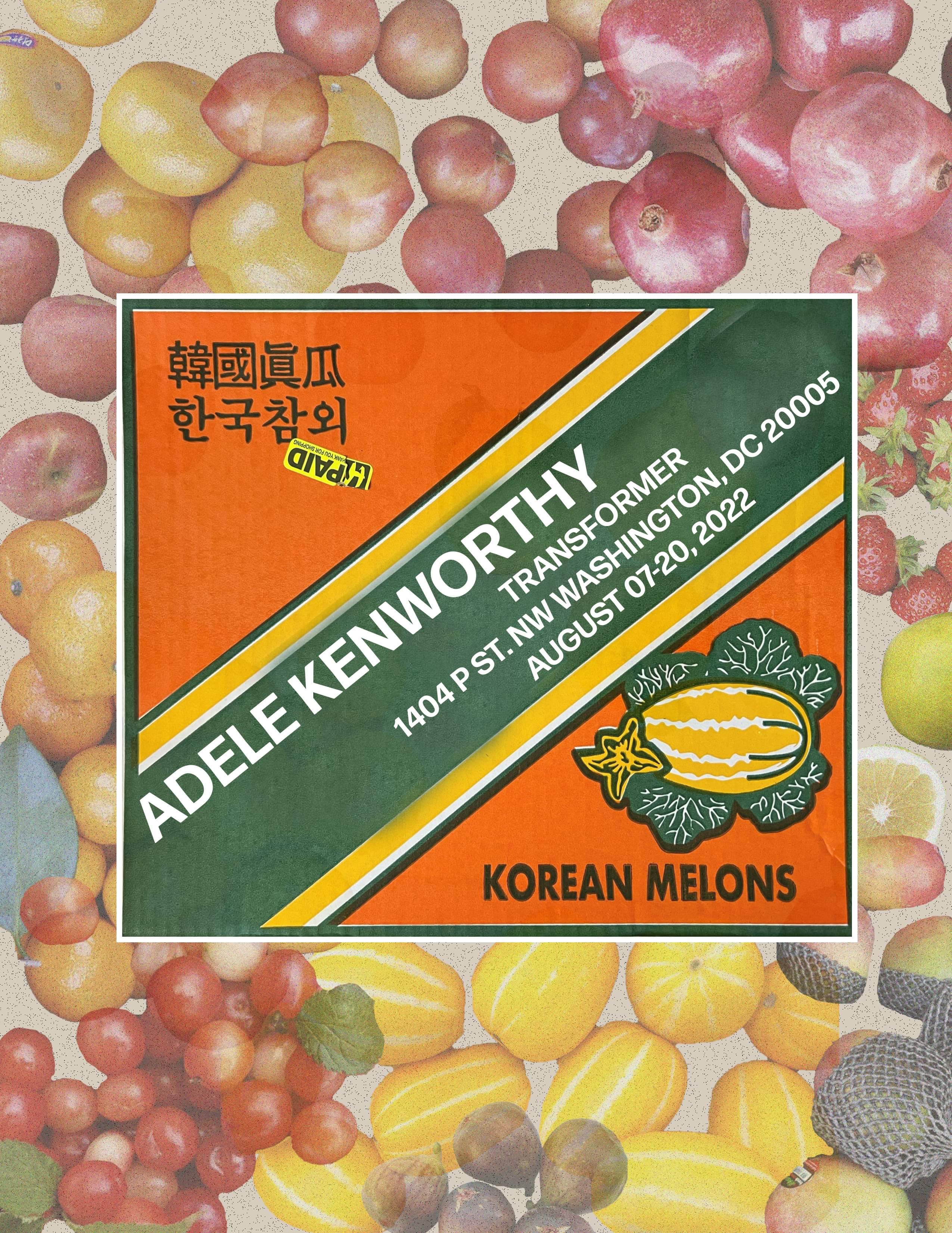 design by ariana arenius