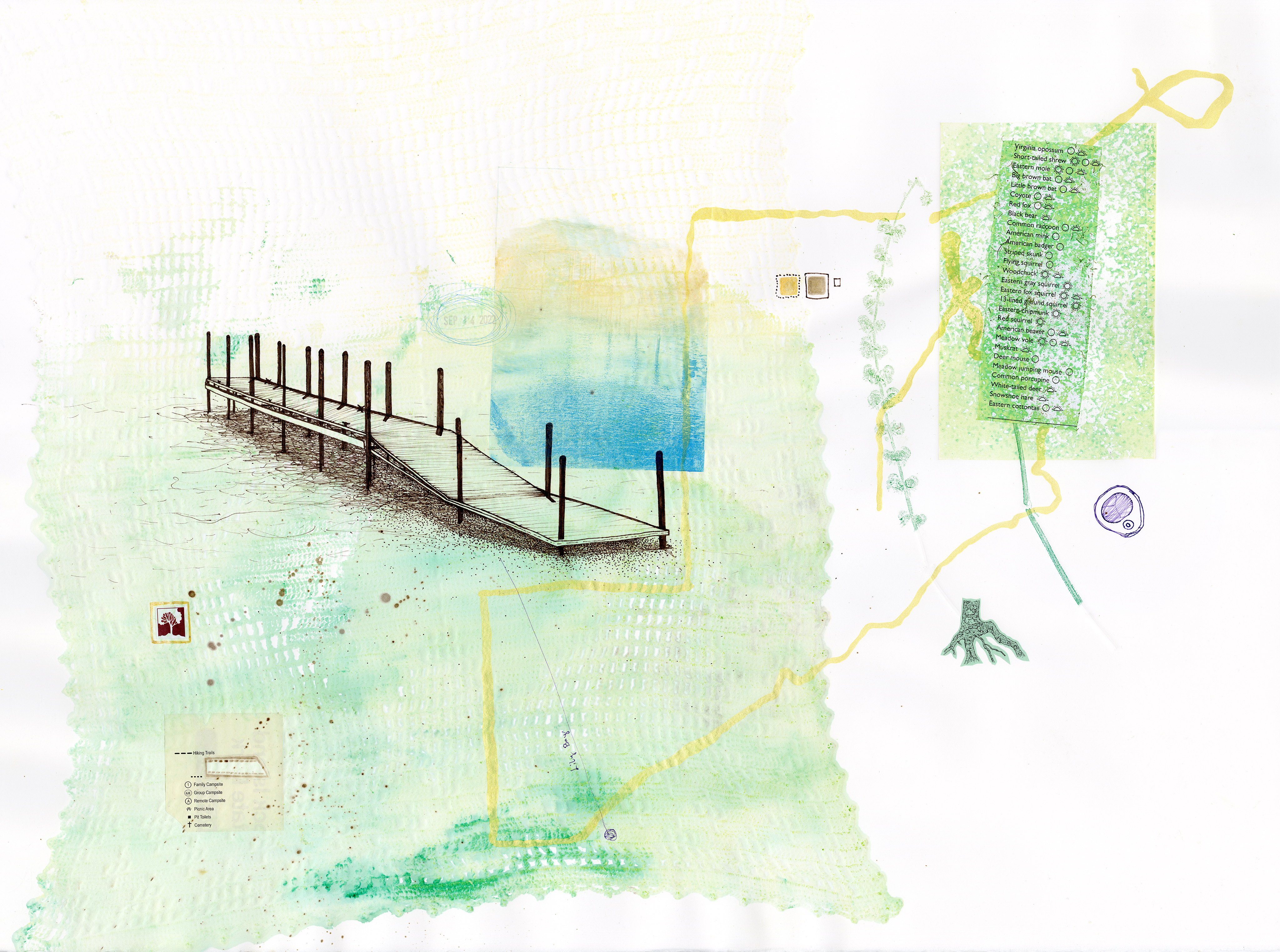Drawing 32/56 from 56 days at the Dome House 22.5 x 30 inches, ink, Chine-collé, etching and stamps on Arches 88 paper - SOLD