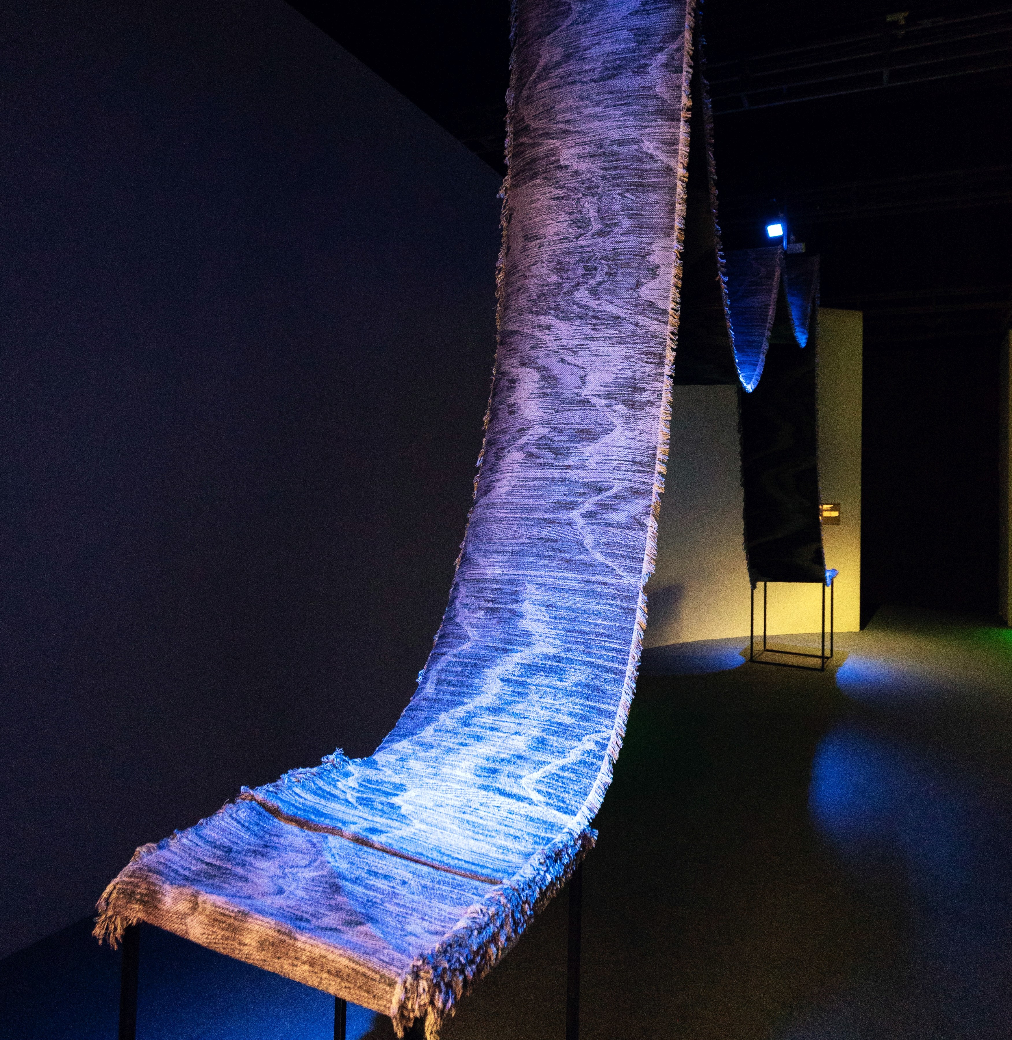 The Tapestry in Search of Terrestrial Intelligence by Ranjit Bhatnagar