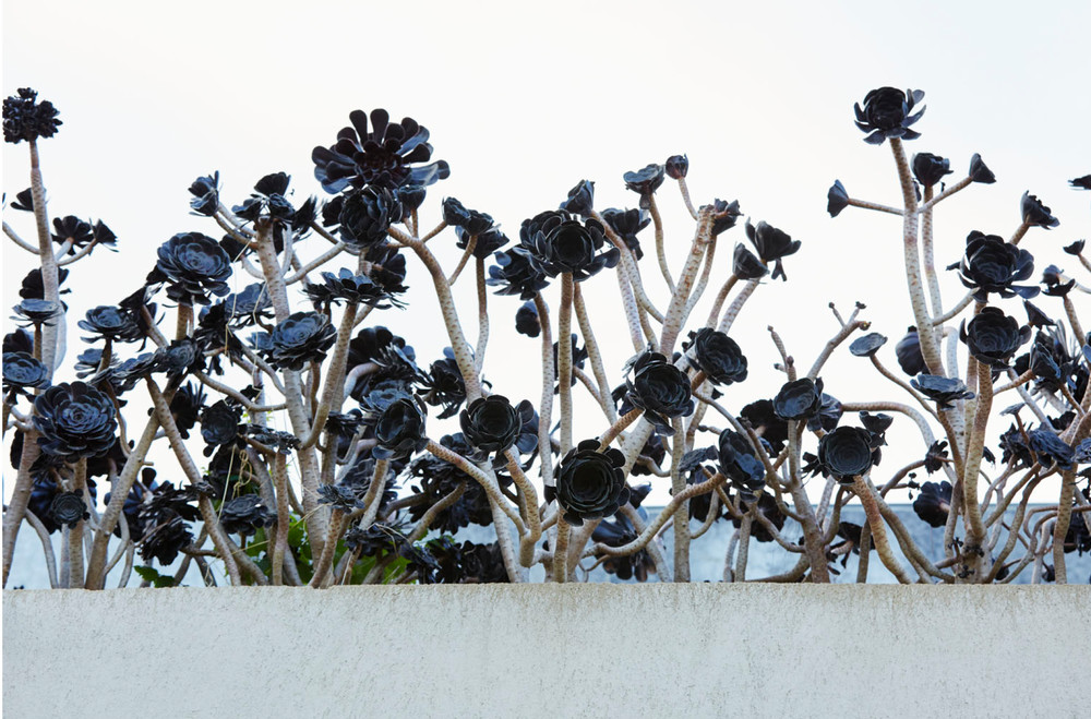 ︎︎︎ Location #1