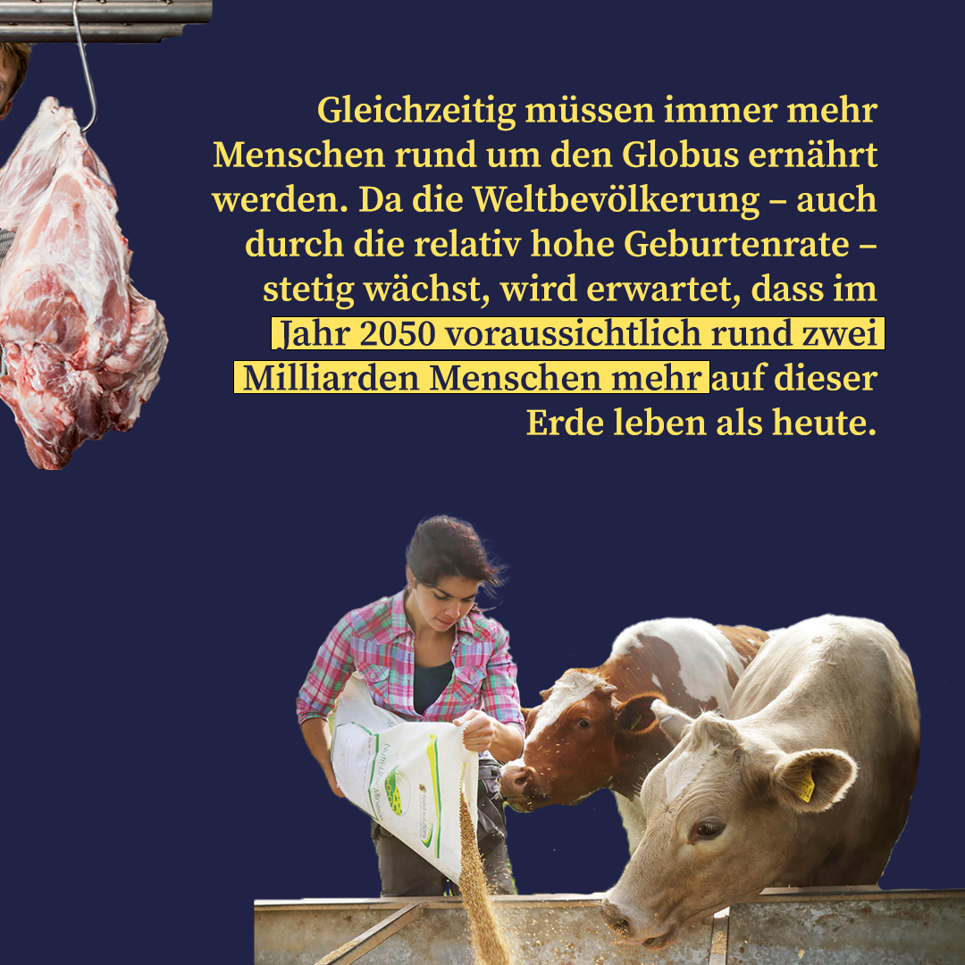 Instagram-post created by Tagesanzeiger