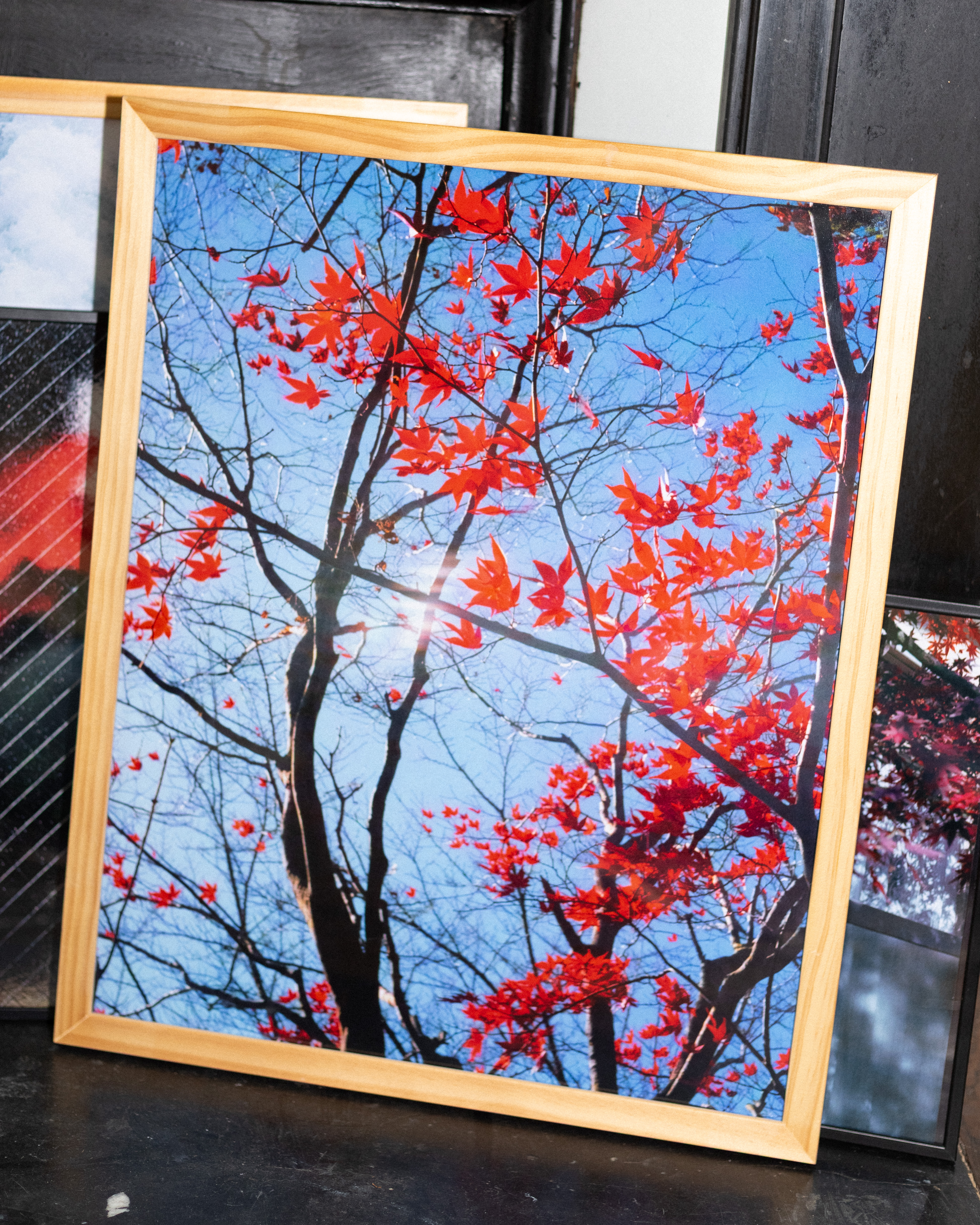 Impression pleine page (cadre non inclus)