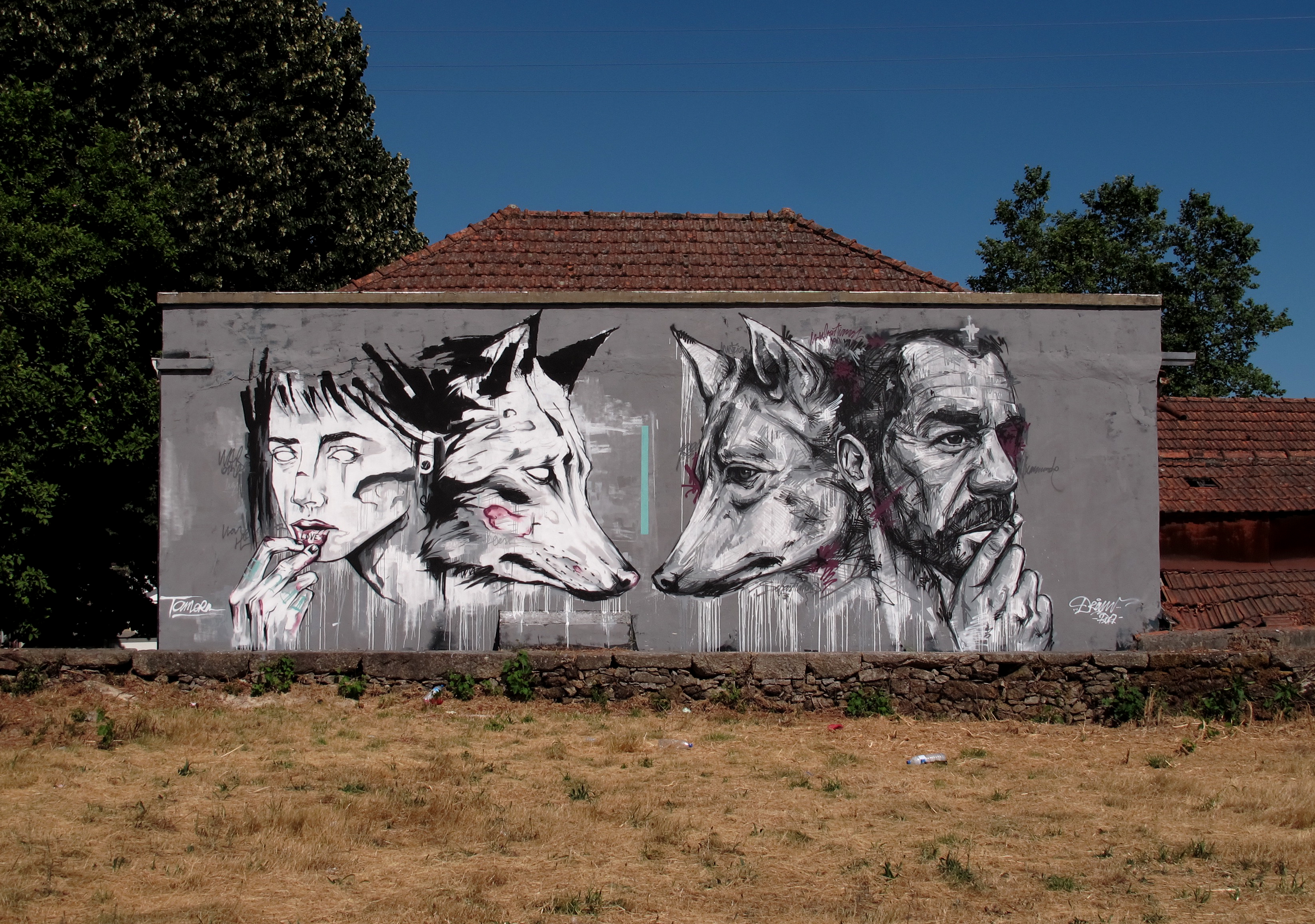 "WILD WOLVES" X DRAW, Putrica 2016, PT
