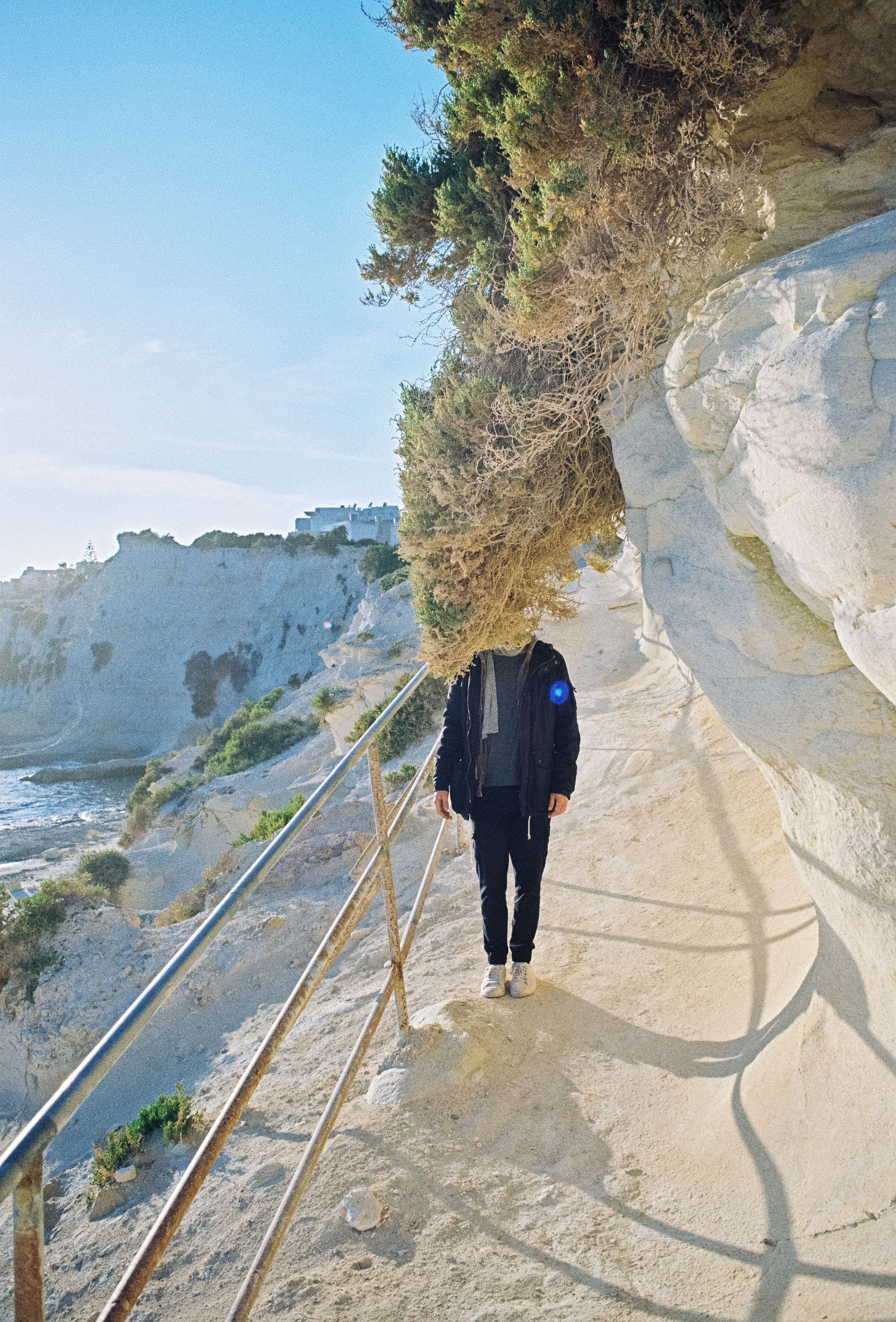 xrobb i-għaġin, mt