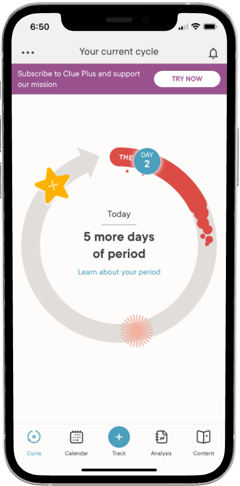 CLUE: Integrating a New Feature 