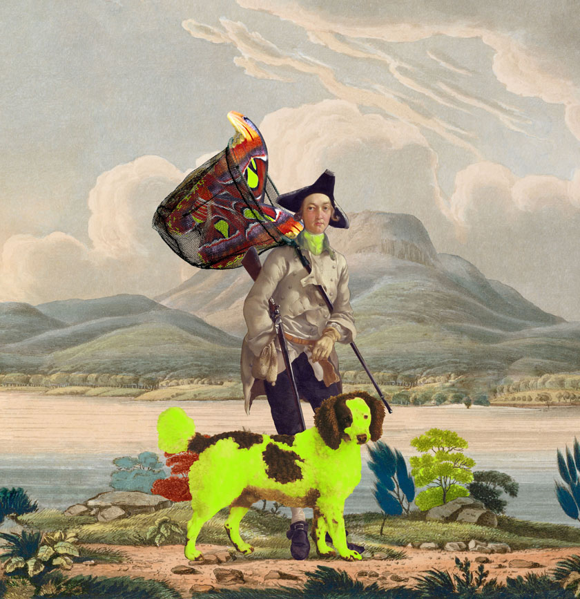 Butterfly murdering 2013