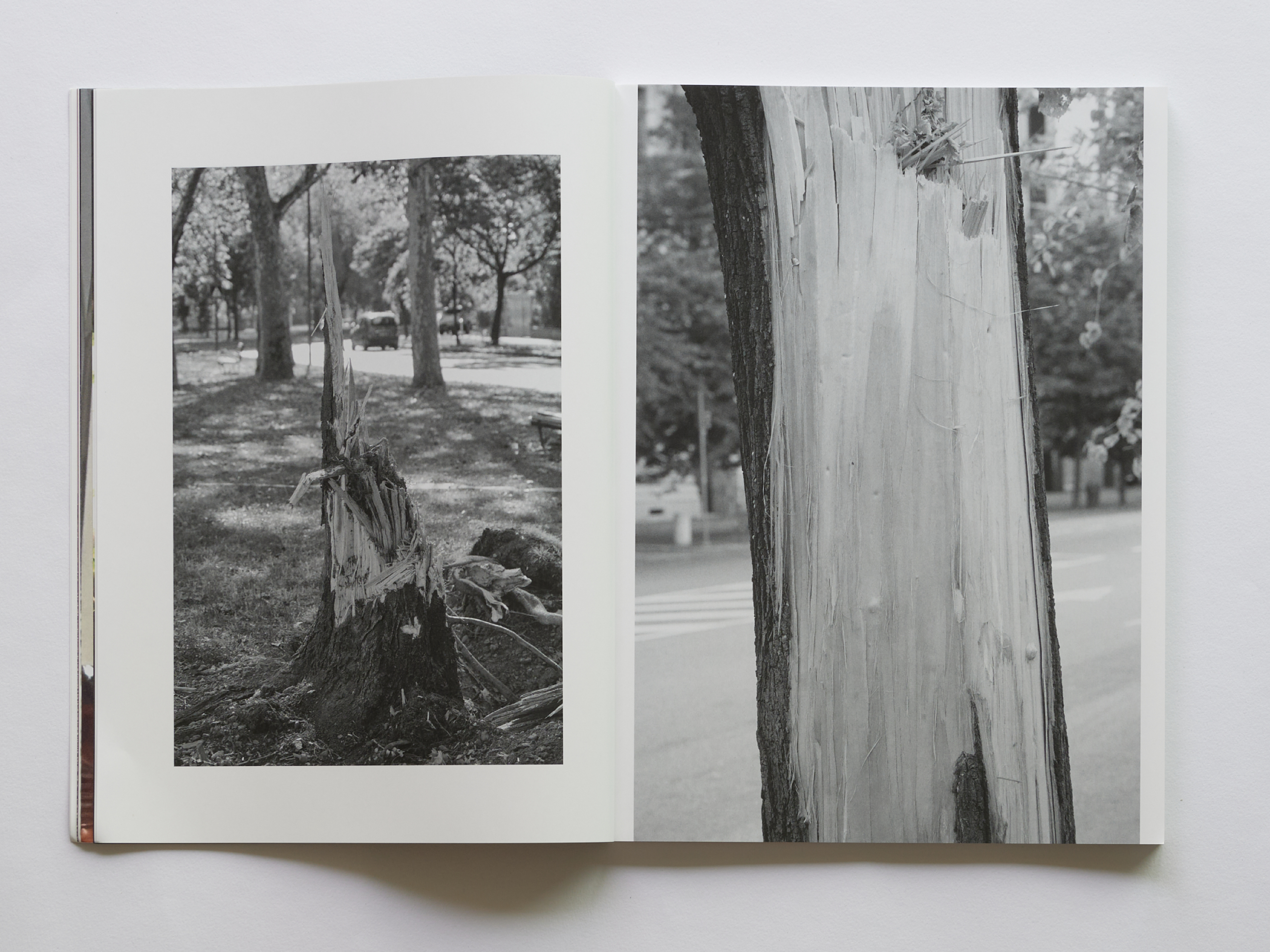 Segments, Parklife Issue 2, 2024