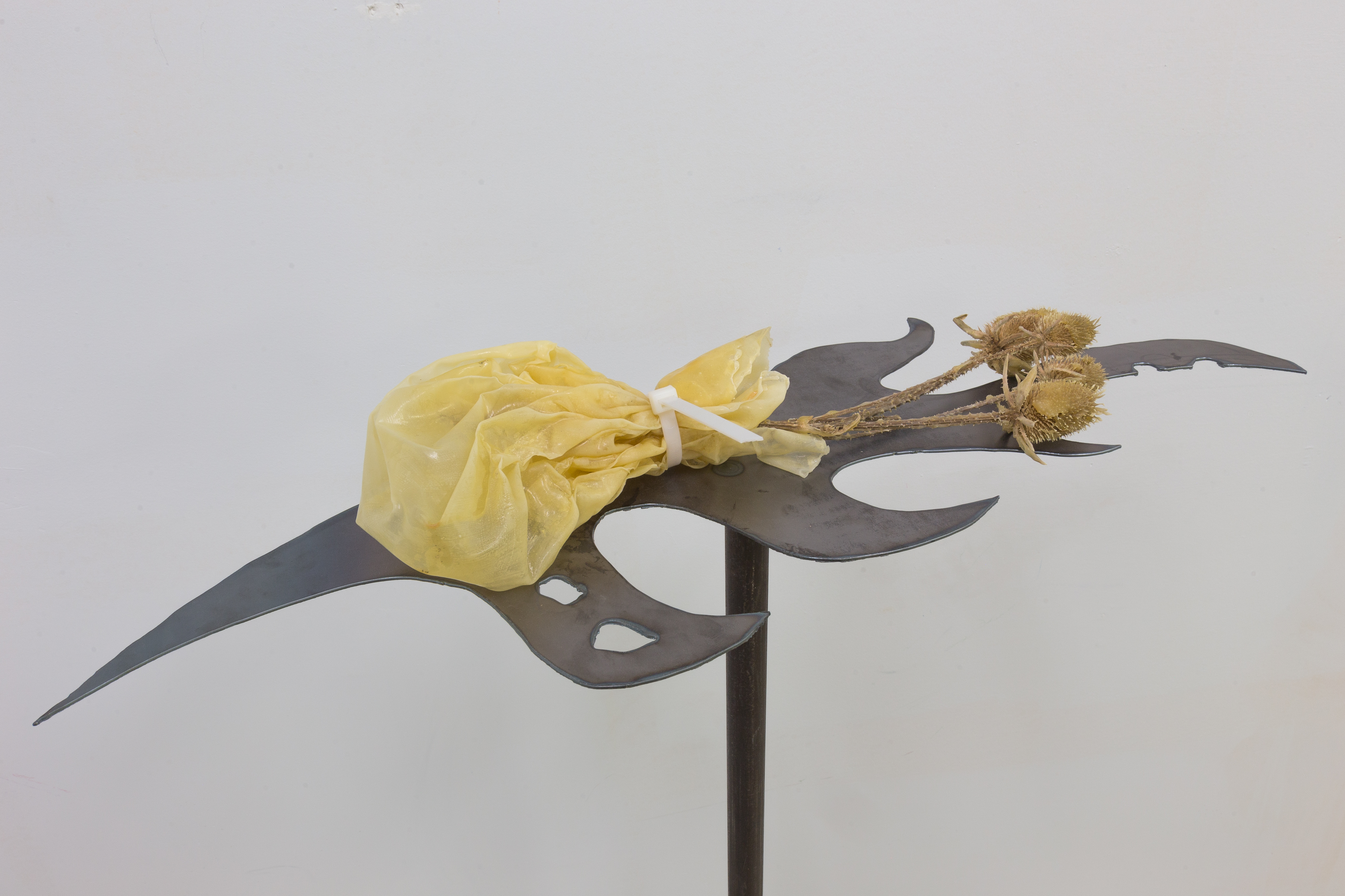 Photos © alignements