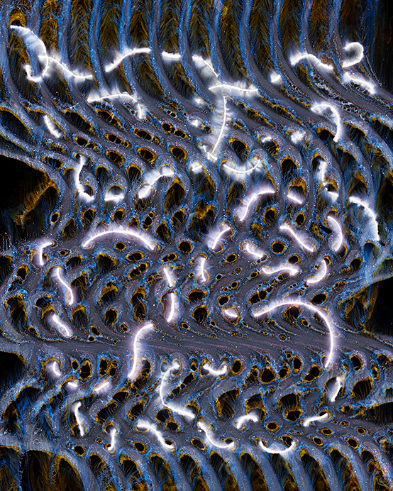 To Pull an Eyelid #62024Light drawing and tampered negative, archival pigment print, 40 x 32 inches