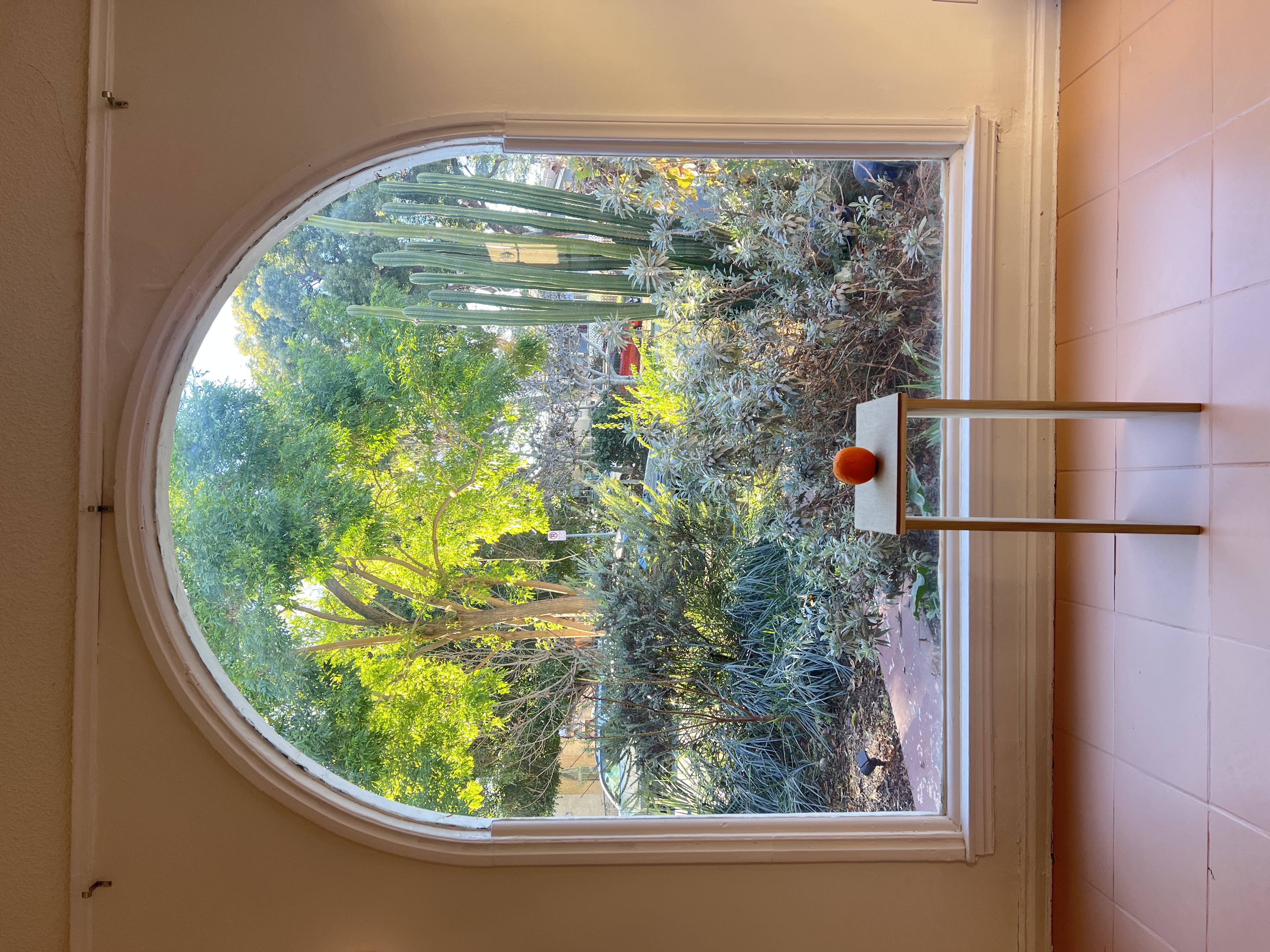 Biblical (solo show)