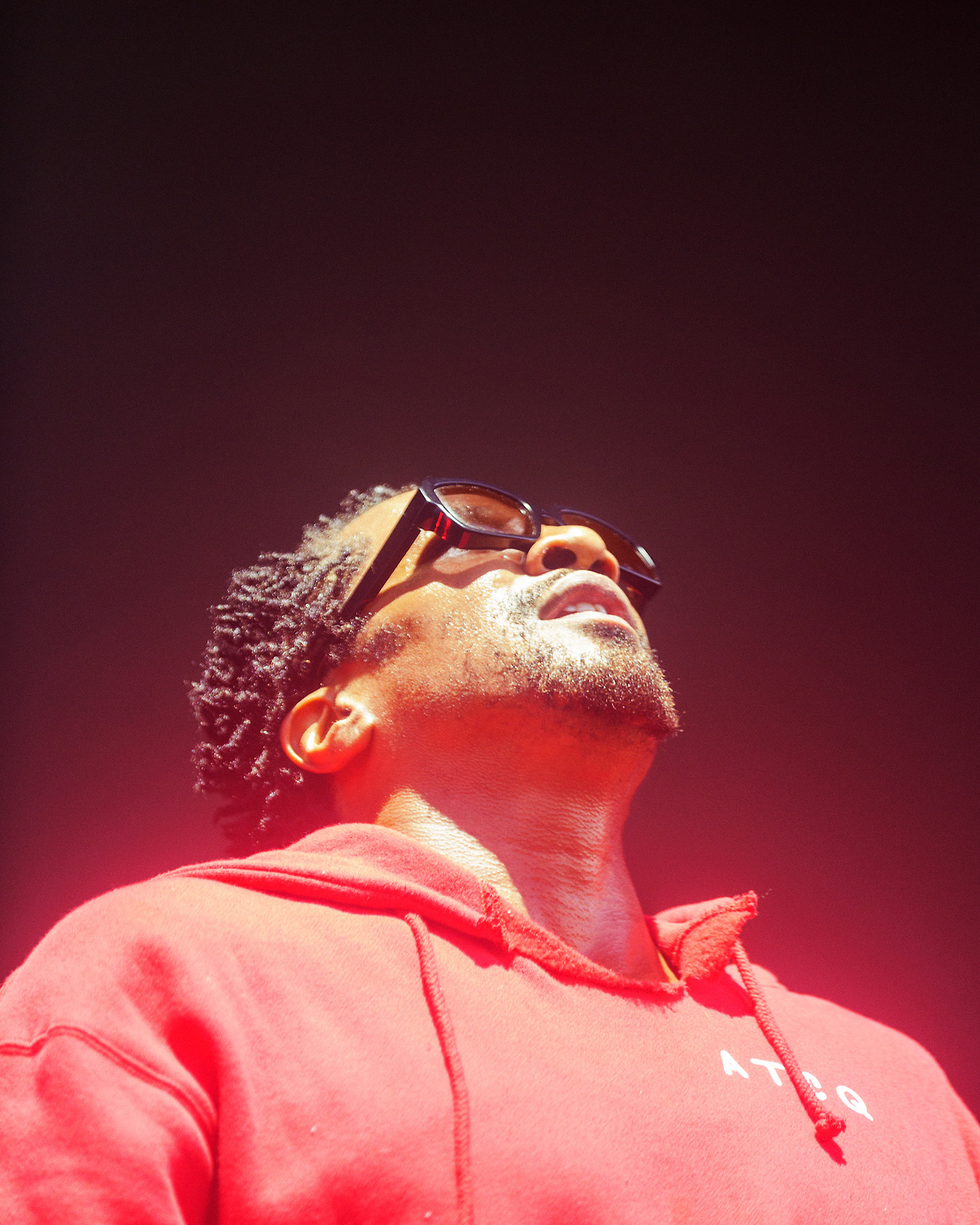 Q-Tip of A Tribe Called Quest, 2017