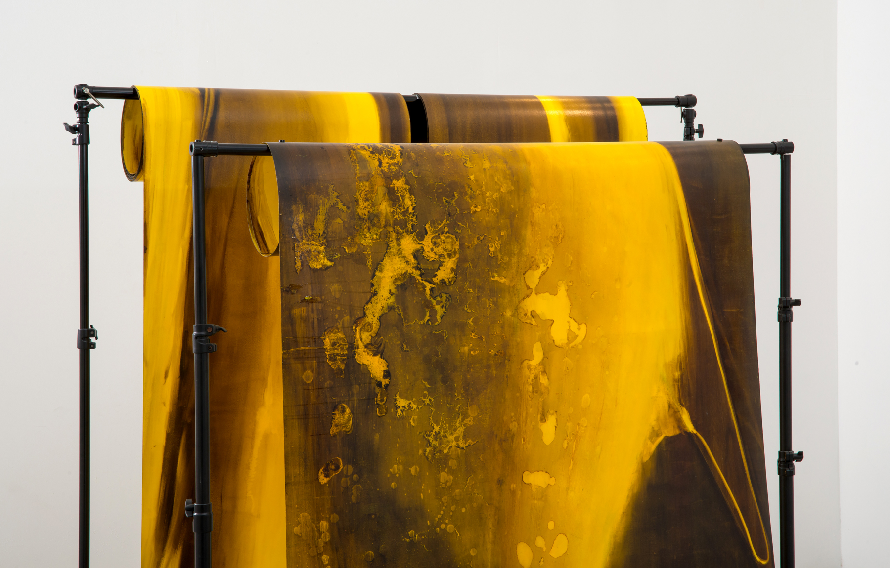 Leviathan, Oil and Acrylic on paper. Installation new at Hygrid, Sklar Levy Gallery, Curator: Shirley Wegner, Photographed by Yigal Prado