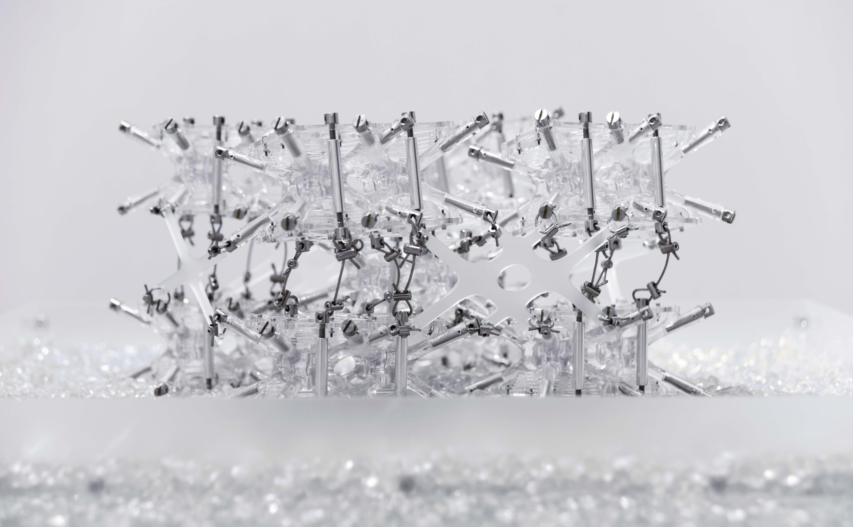 Porifera-Bricks 2021