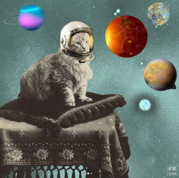 Ankie Luiken-Feldberg