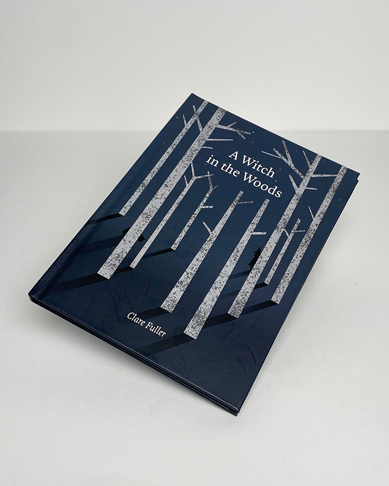 Illustration + Design  Children's book