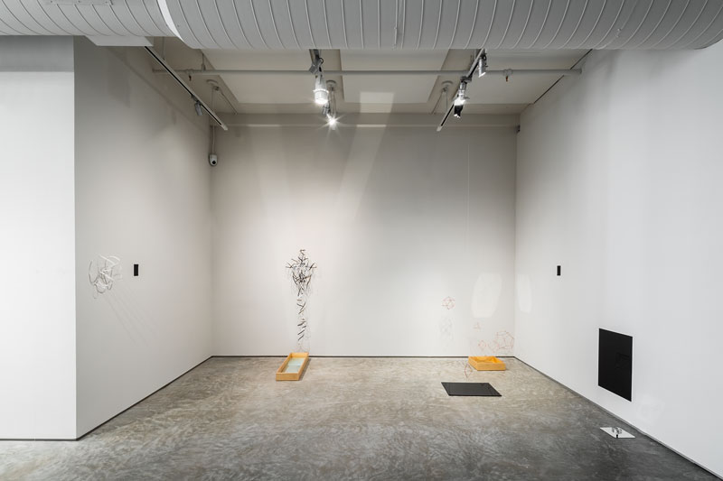 Amina Ahmed, Pondering the Fish, 2019, a drawing on site: graphite, paper, cotton thread, copper, light, mirror, water, shadow, paint.  Photo credit: Rafael Gamo.