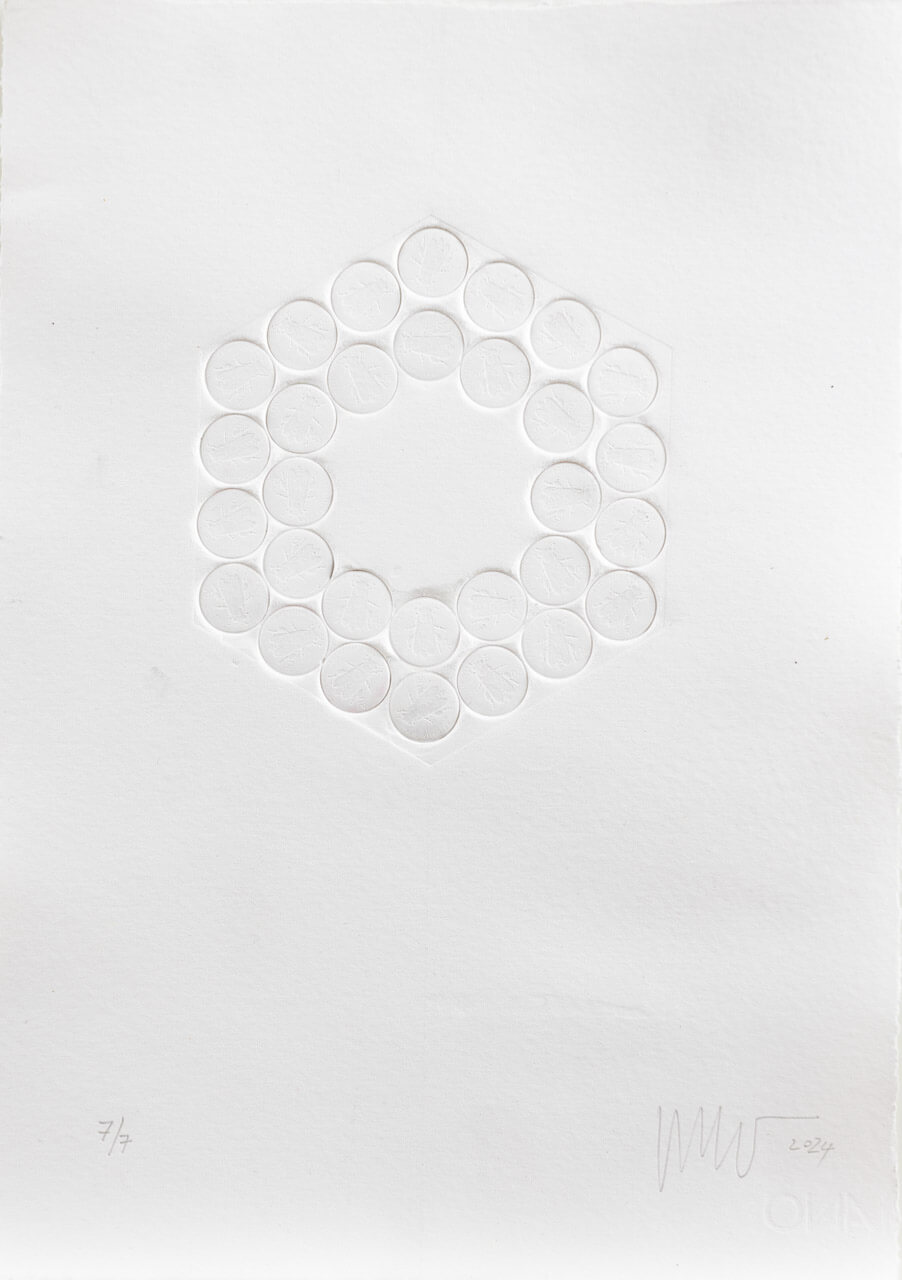 Vanja Mervič, Honeycomb II, blind print on paper, 35 x 25 cm, 2024