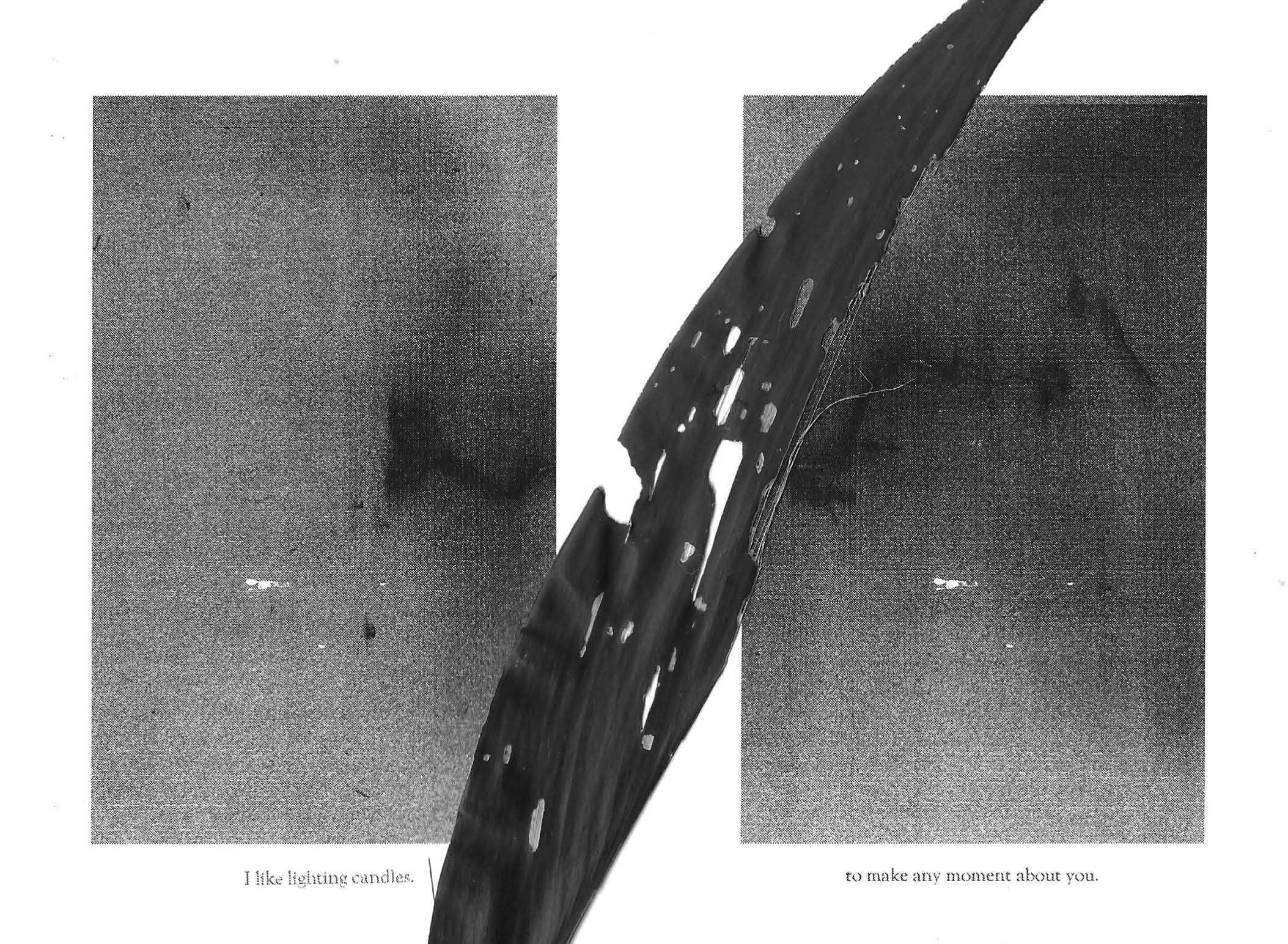 RUDERAL SPECIES — Makena Janssen