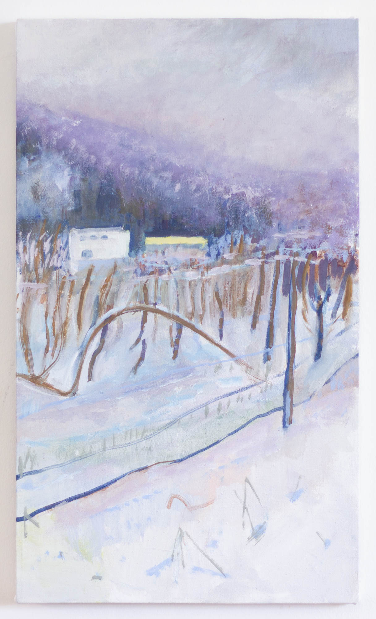 Winter in the vineyard, Egg Tempera/ Canvas, 2021, 27x46cm