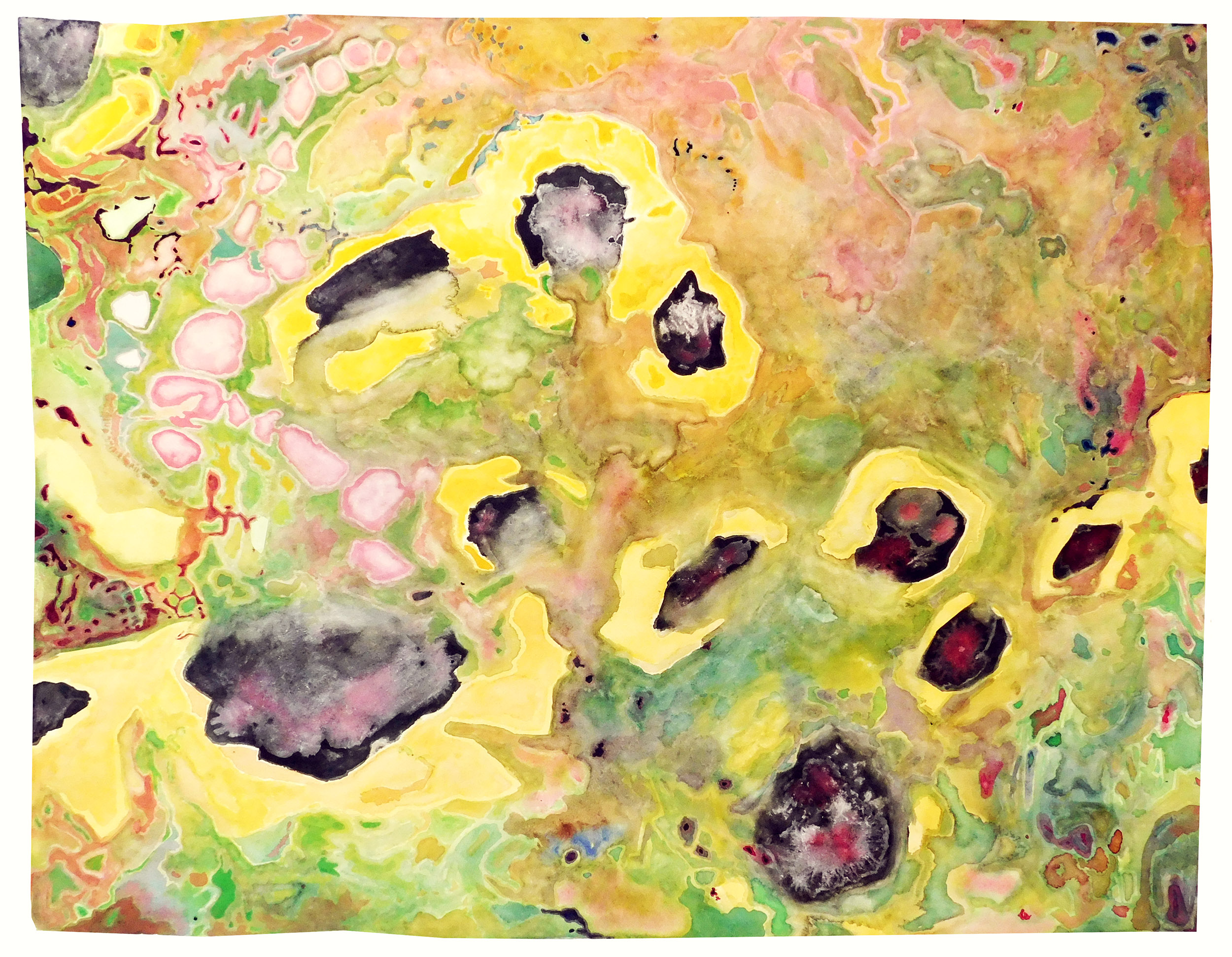 sunflowers dissolving from memory | 25.5 x 32 inches | watercolor on paper