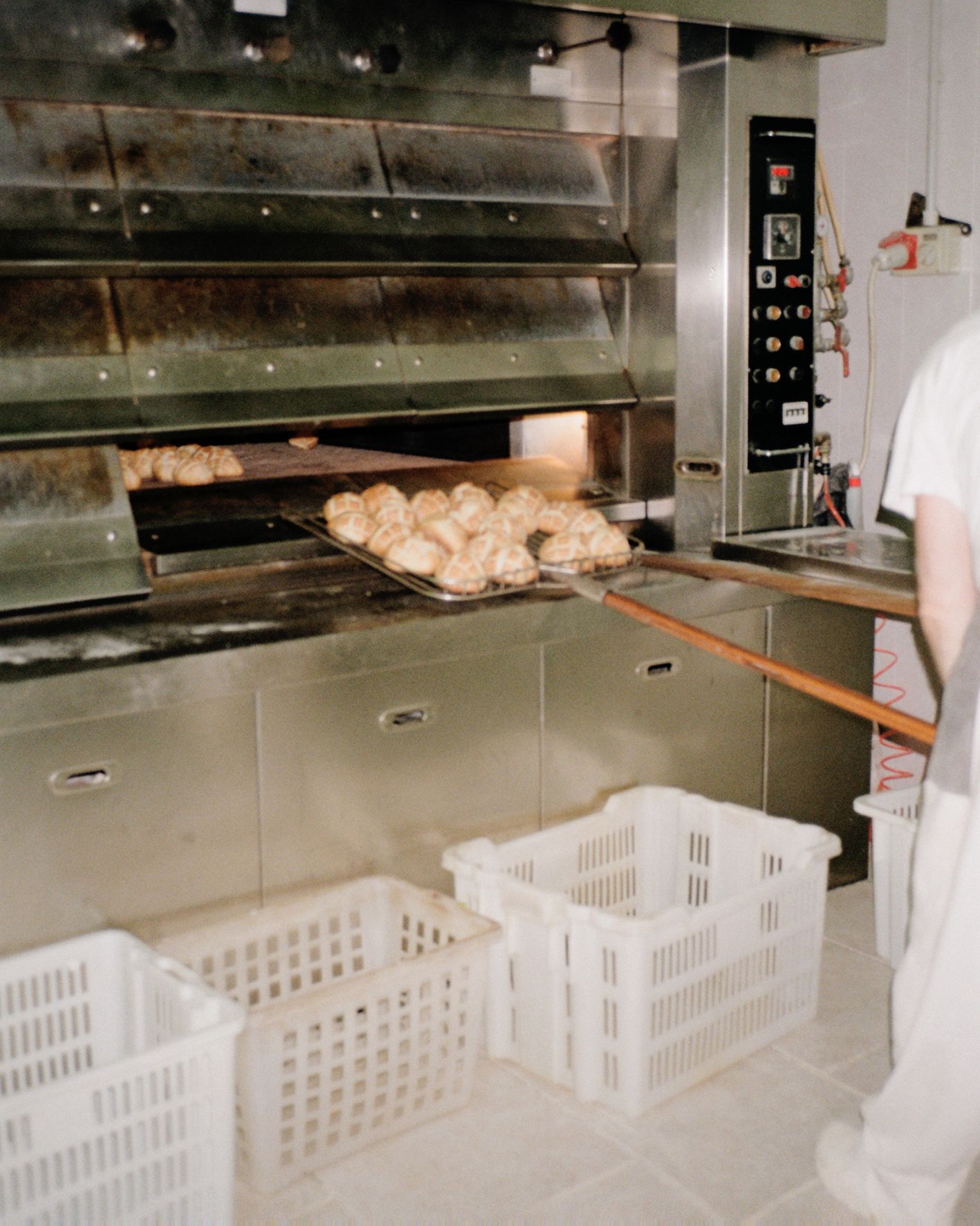 Mio padre_Domingo_Nardulli 