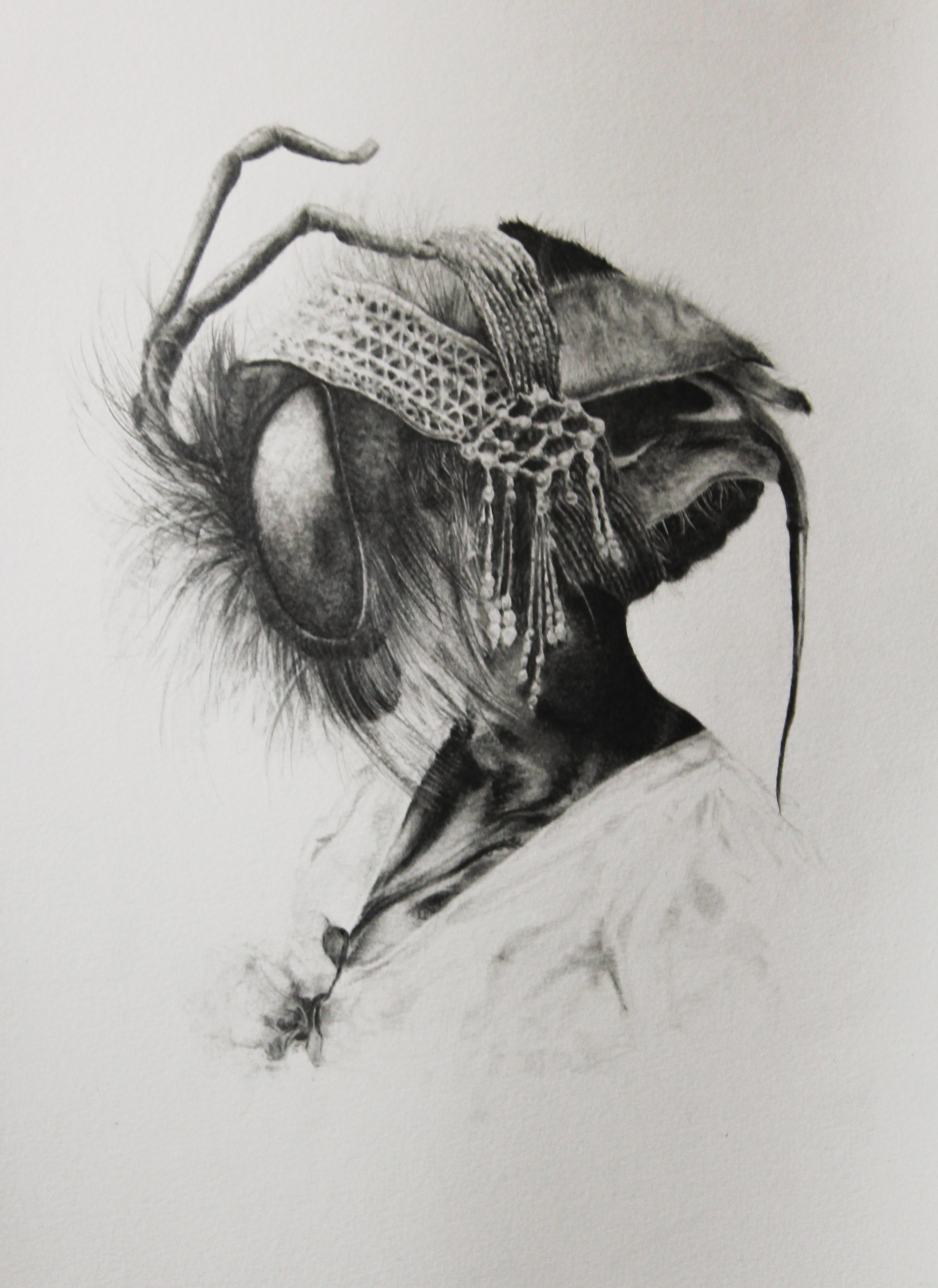 Specimen VII. Graphite and Charcoal on archival paper, 51cm x 40cm, 2017