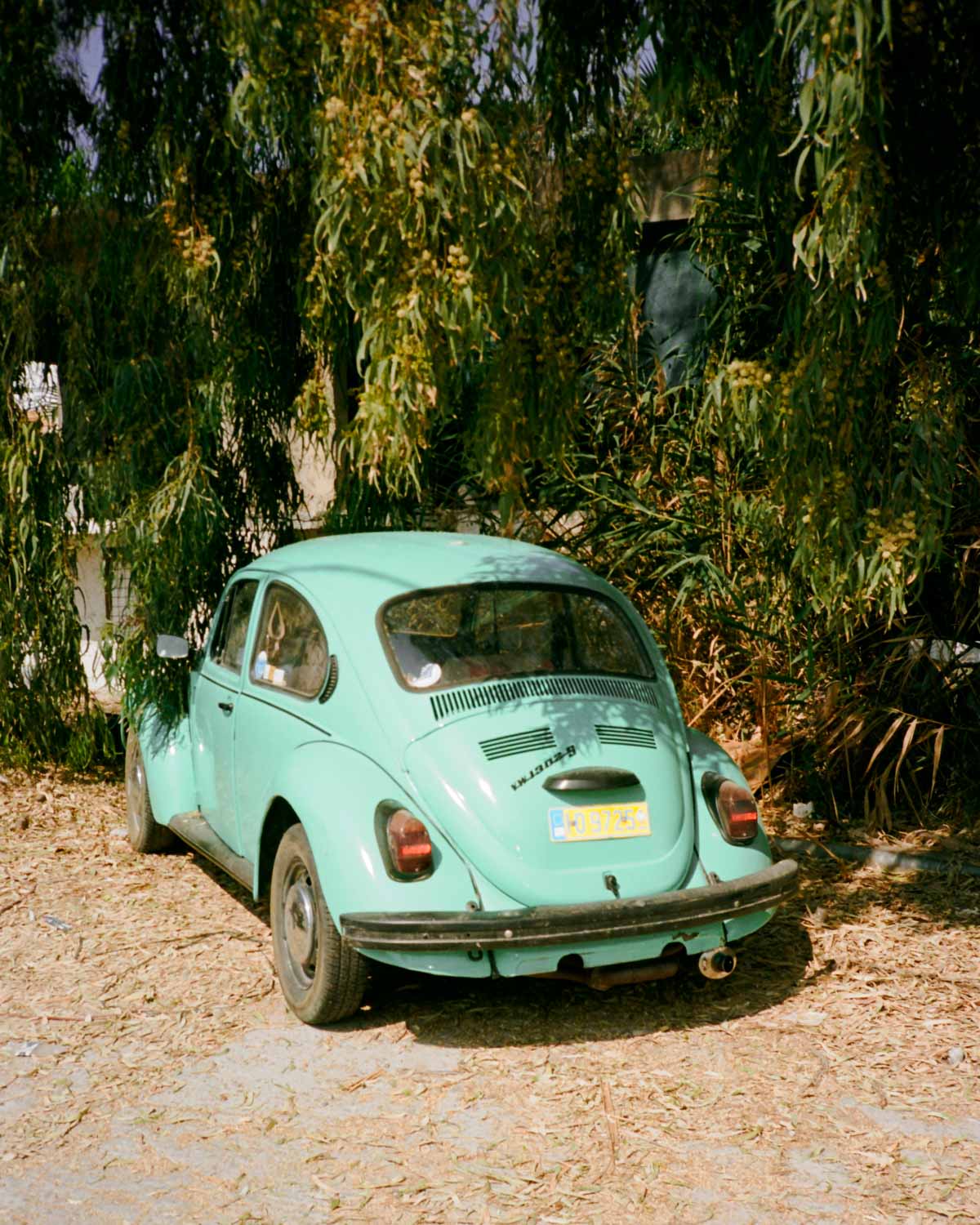 Domingo_Nardulli_Milos