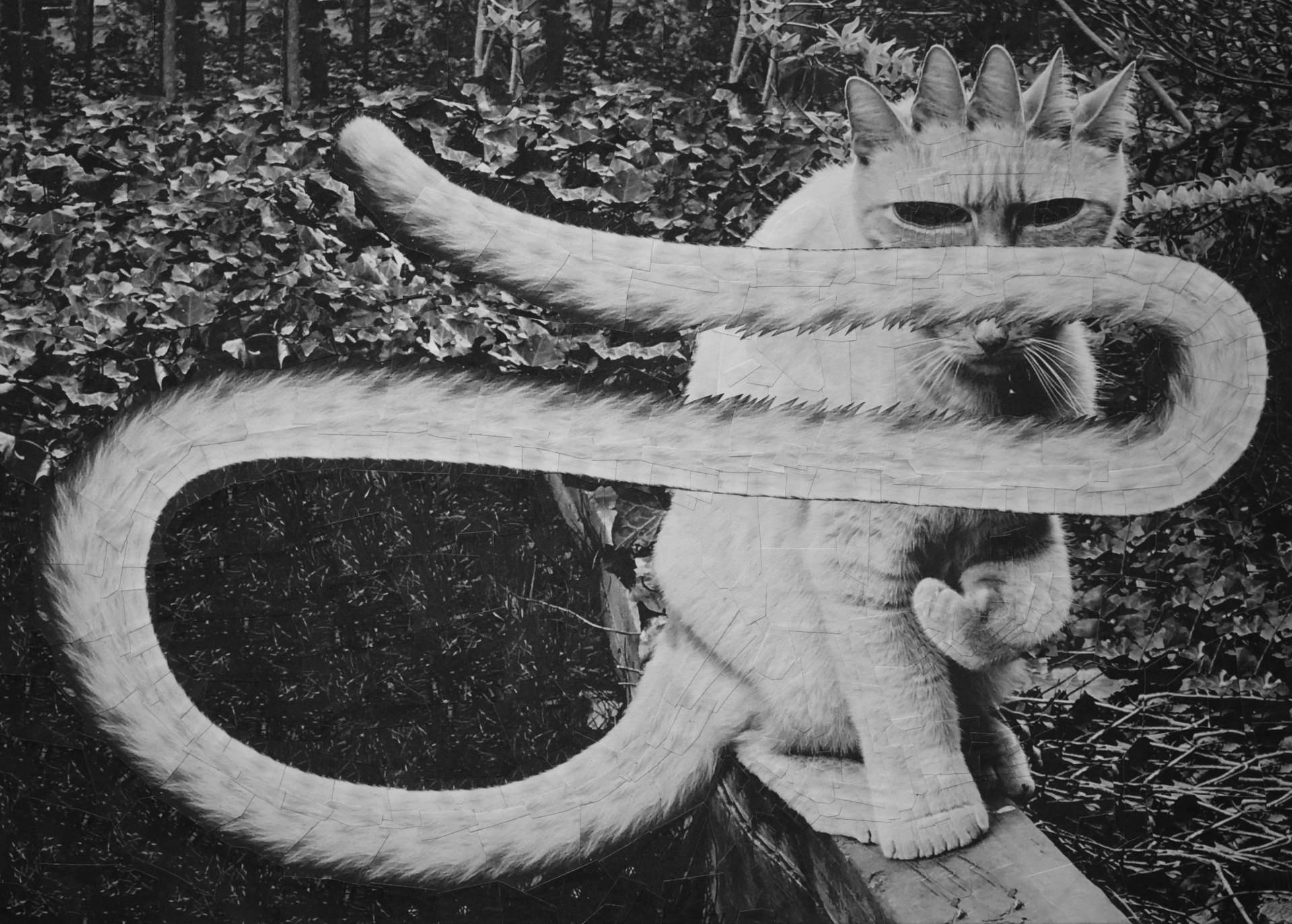 The Visitor After Annie Chia, 2018, 11.6 x 8.2 inches