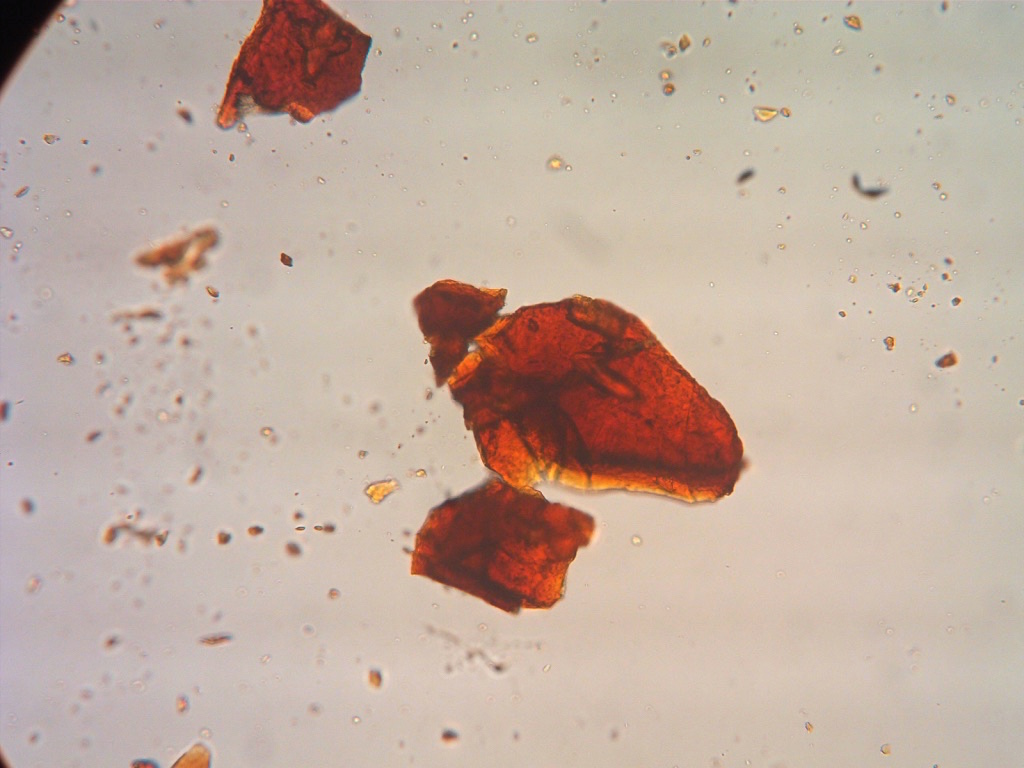 Saltburn, Ferrihydrite/Goetite Digital photograph Cross-Polarised Light (XPL) x1000, Field of view 0.1 mm