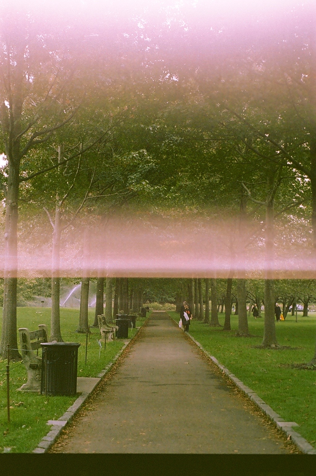 Expired Kodak Gold 200