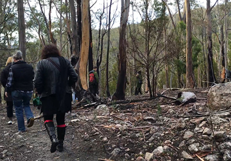 Project 04: Spatial Tuning. Audience entry sequence to Spatial Tuning, Hobart, 2016. Photograph: Campbell Drake