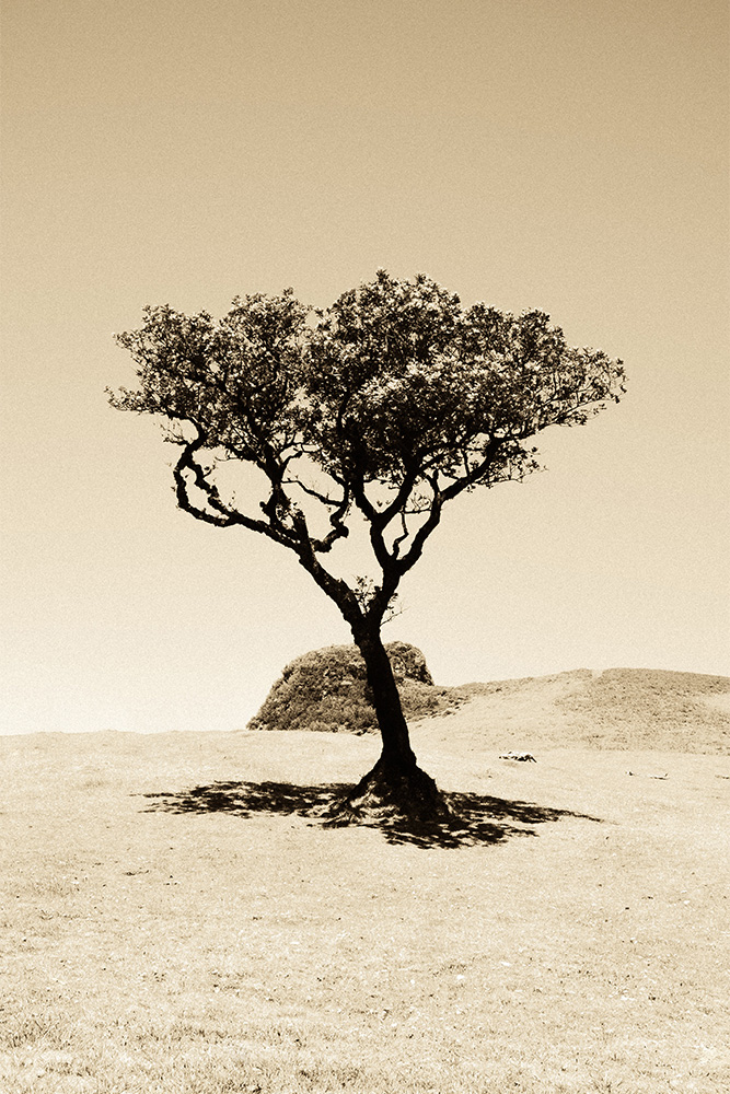 original image by Daniele Franchi