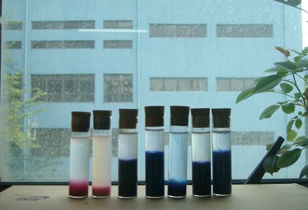 감정정리 사진에서 벗겨낸 필름 가변설치 2011