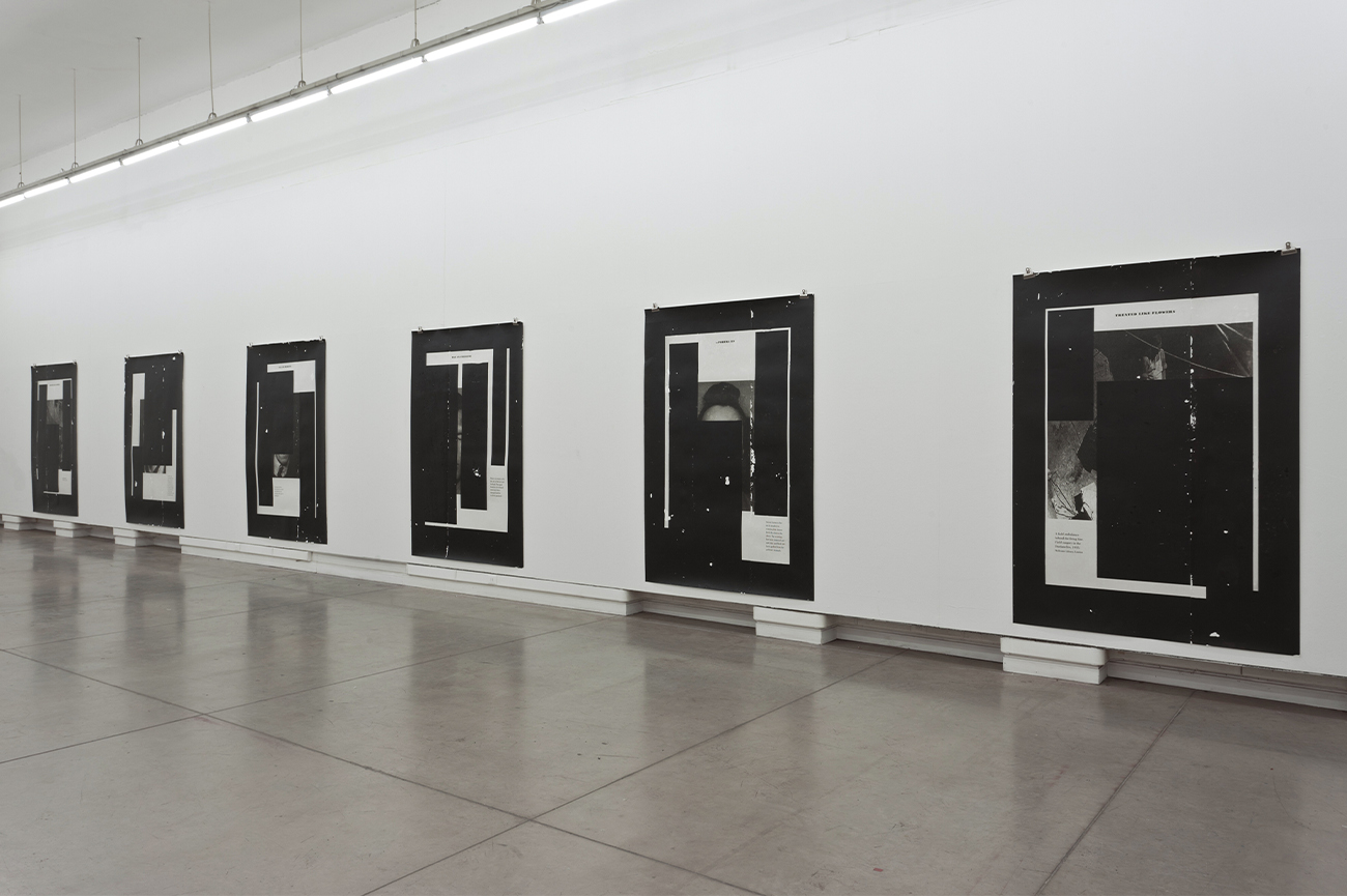 Nicolás FrancoTreated Like Flowers, 20146 archival quality pigment ink printing, acrylic resins, acrylic paint and isopropyl on paper220 x 152 cm (each)