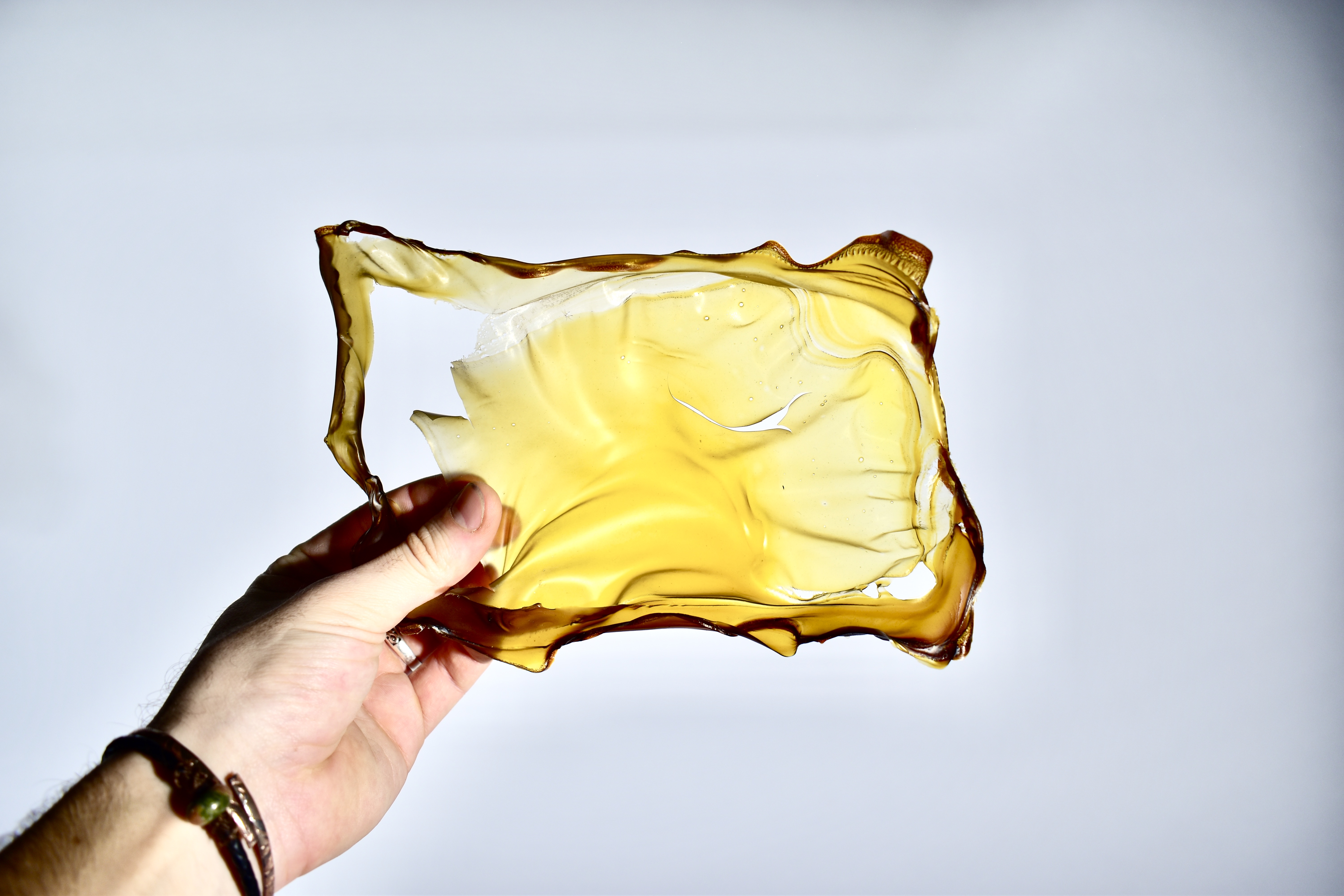 Chitosan Bioplastic - Shrimp Shells
