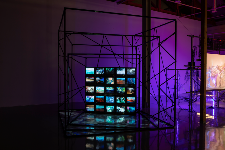 Wall of Human_2023-2020