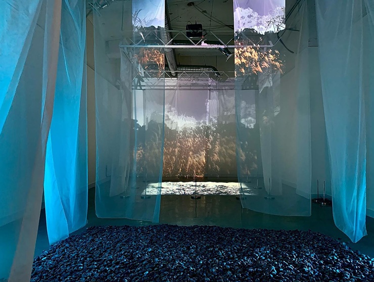 감각으로 경험하는 도시숲_2021