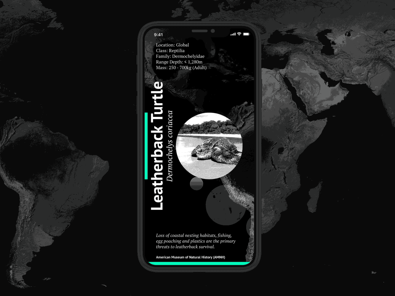 Endangered Species App Concept