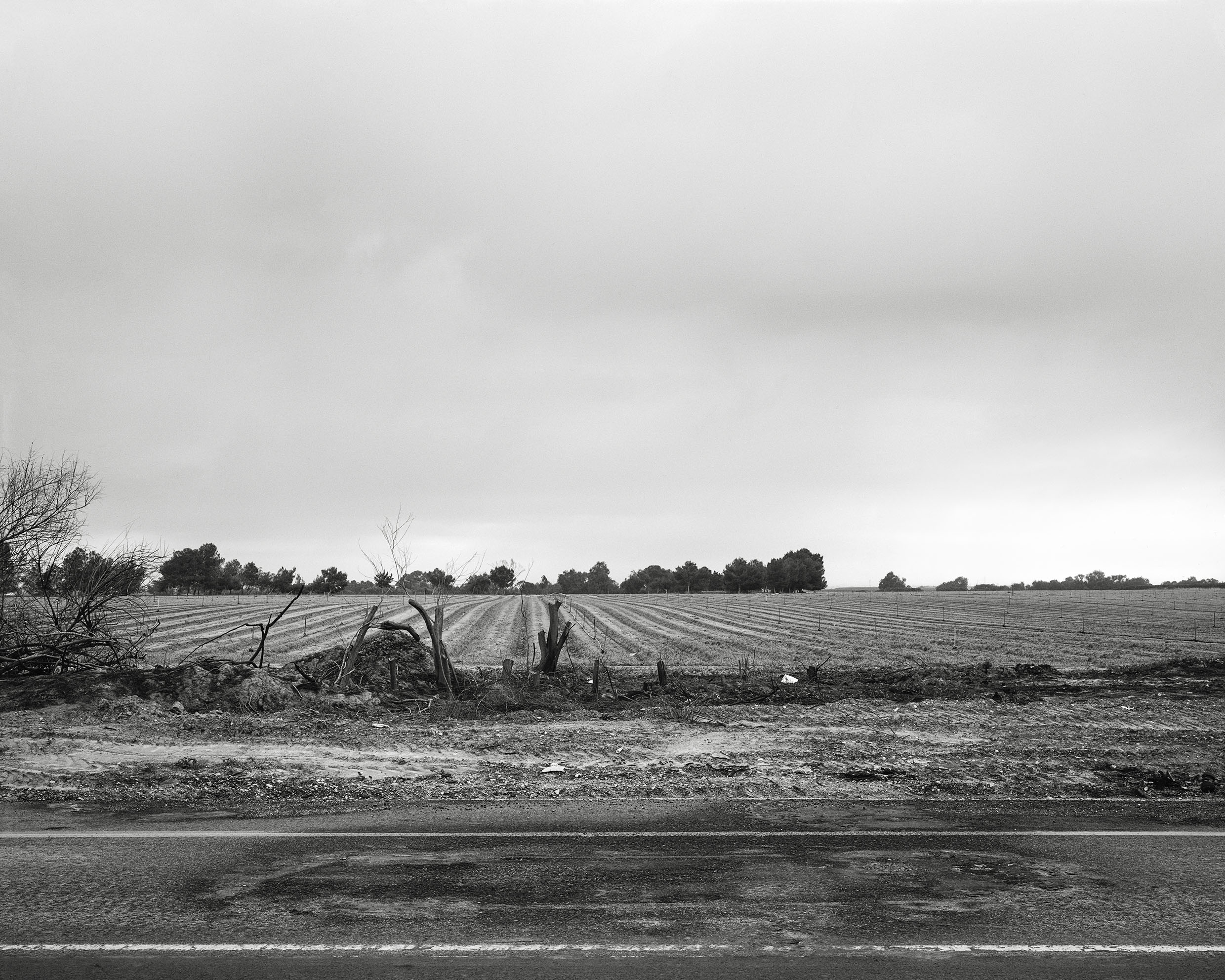 Highway 232, 2023, Inkjet print, 33.6.5x42 cm